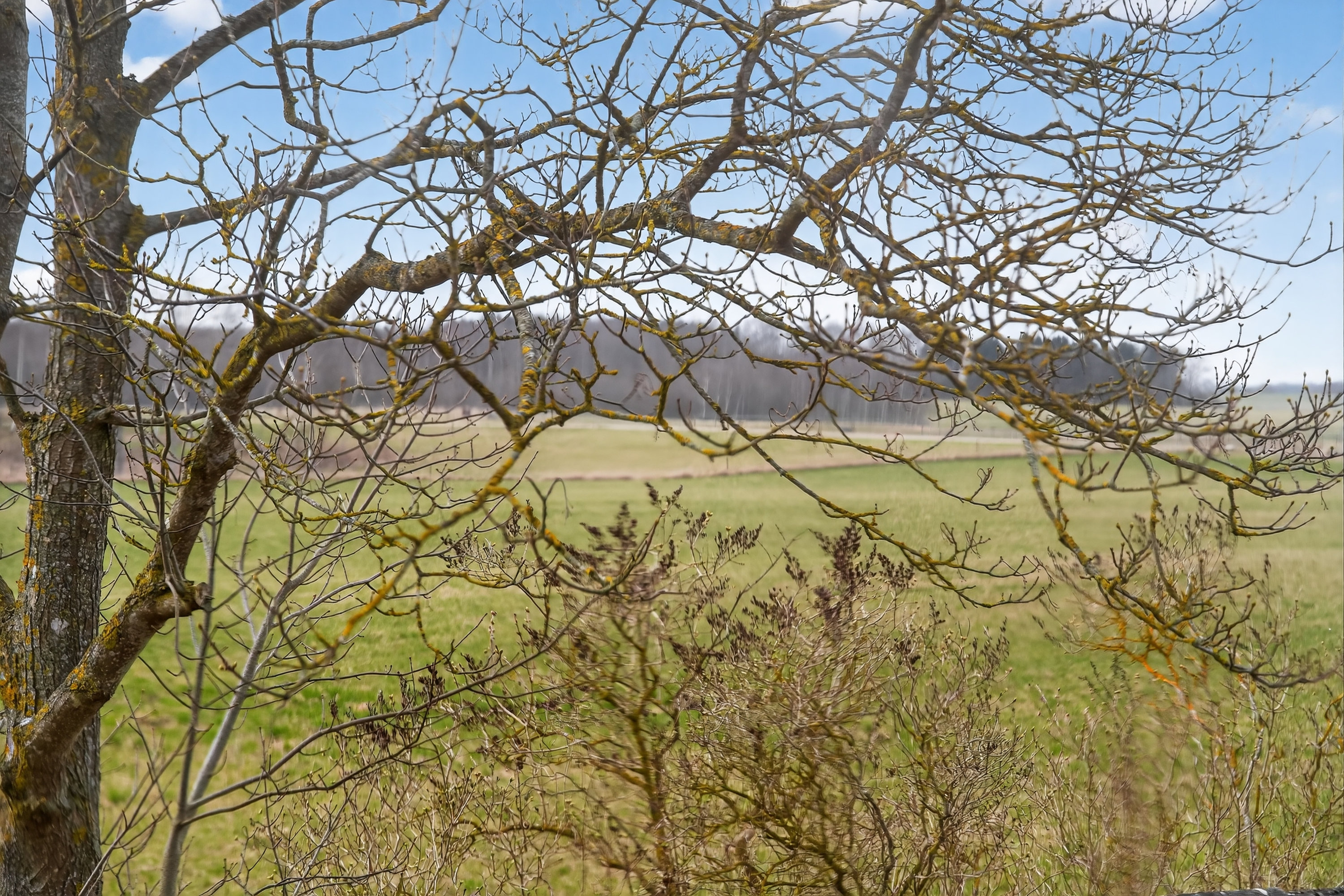 Fremhævet udsigt billede i fuldskærmstilstand. Billede af Asmindrupvej 94, 4390 Vipperød