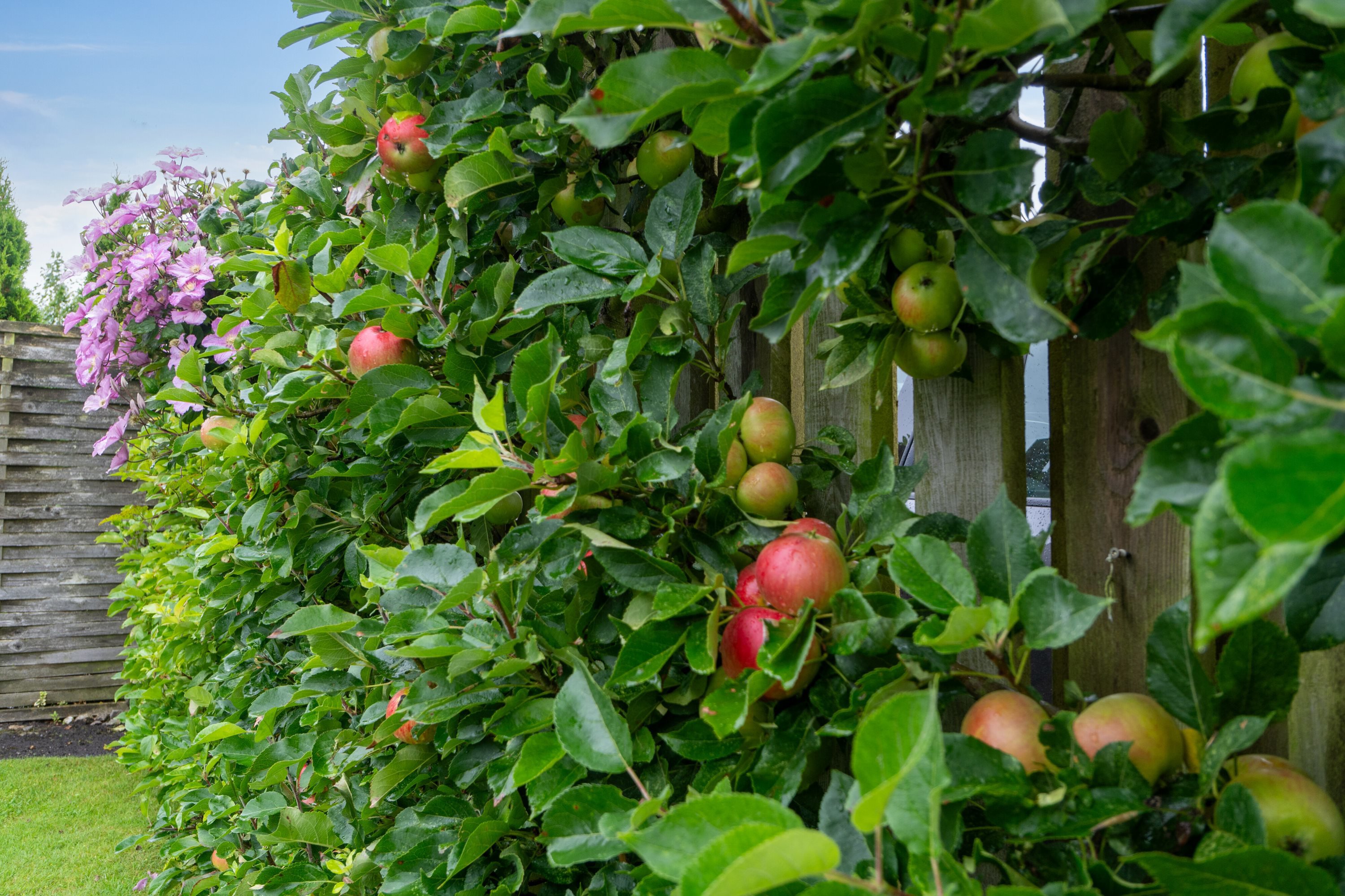 Fremhævet  billede i fuldskærmstilstand. Billede af Sommervej 4, Jørgensø Strand, 5450 Otterup
