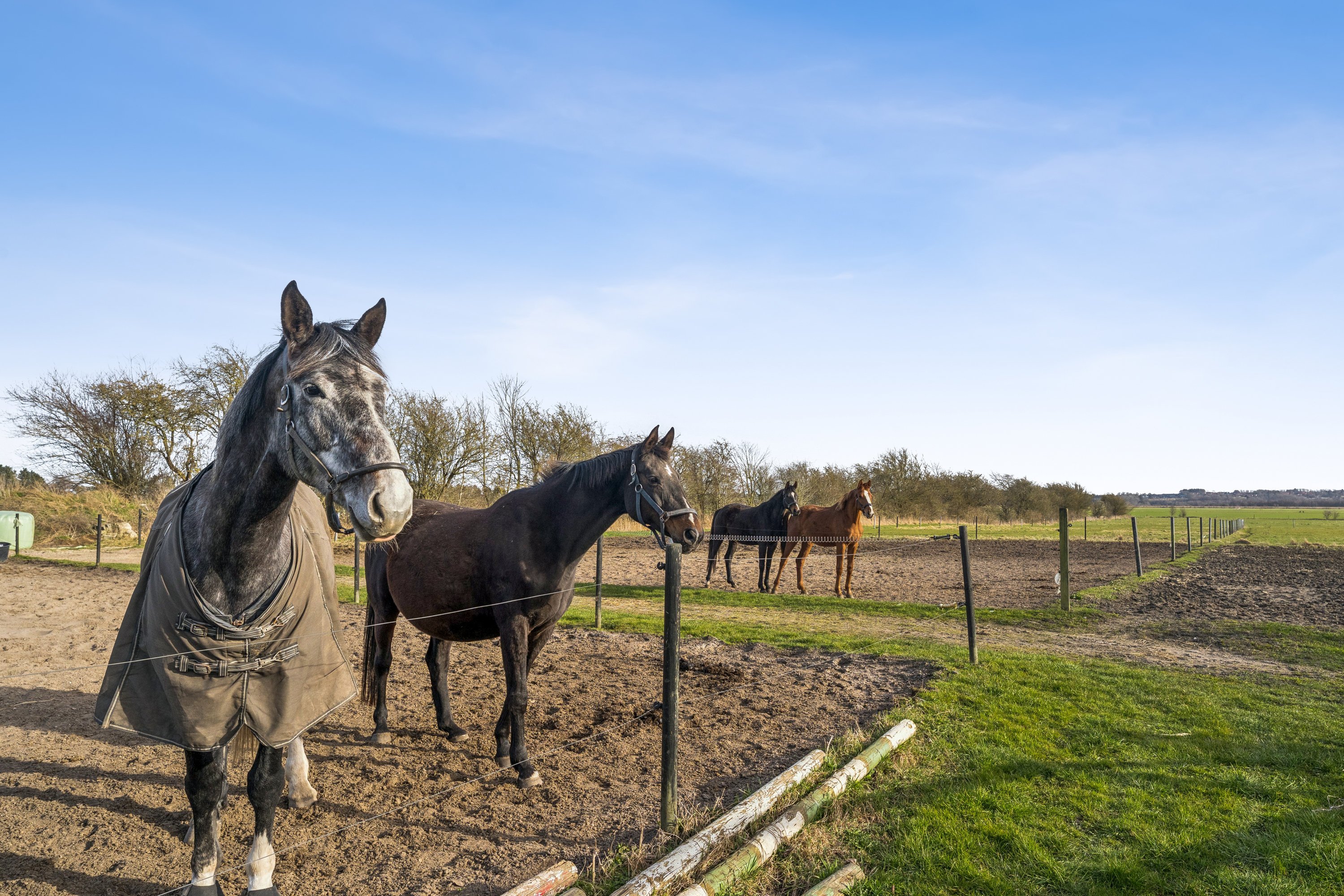 Fremhævet andet billede i fuldskærmstilstand. Billede af Nedre Vej 50, Albæk, 8930 Randers NØ