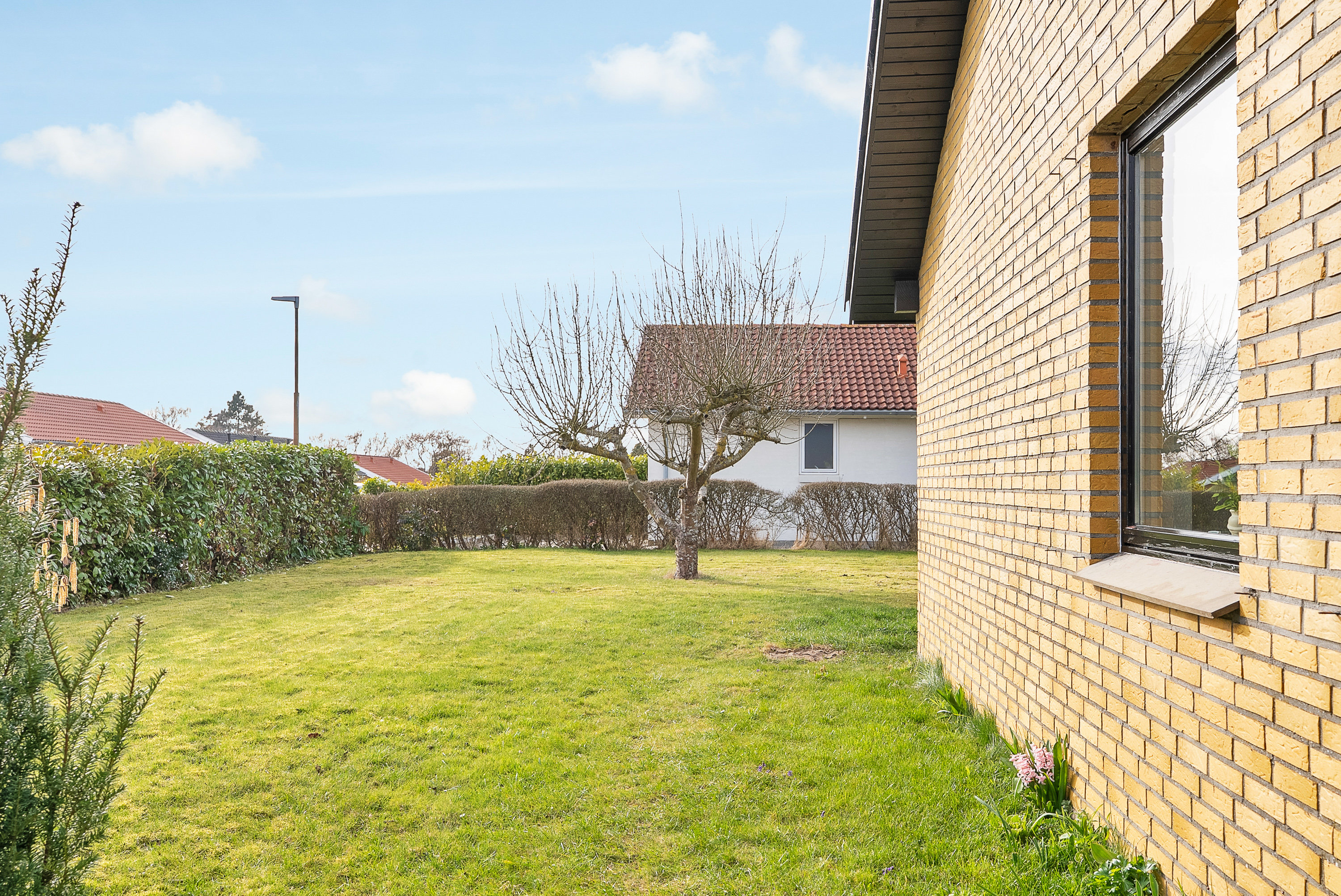 Fremhævet have billede i fuldskærmstilstand. Billede af Anneksvænget 3, Næsbyhoved-Broby, 5270 Odense N