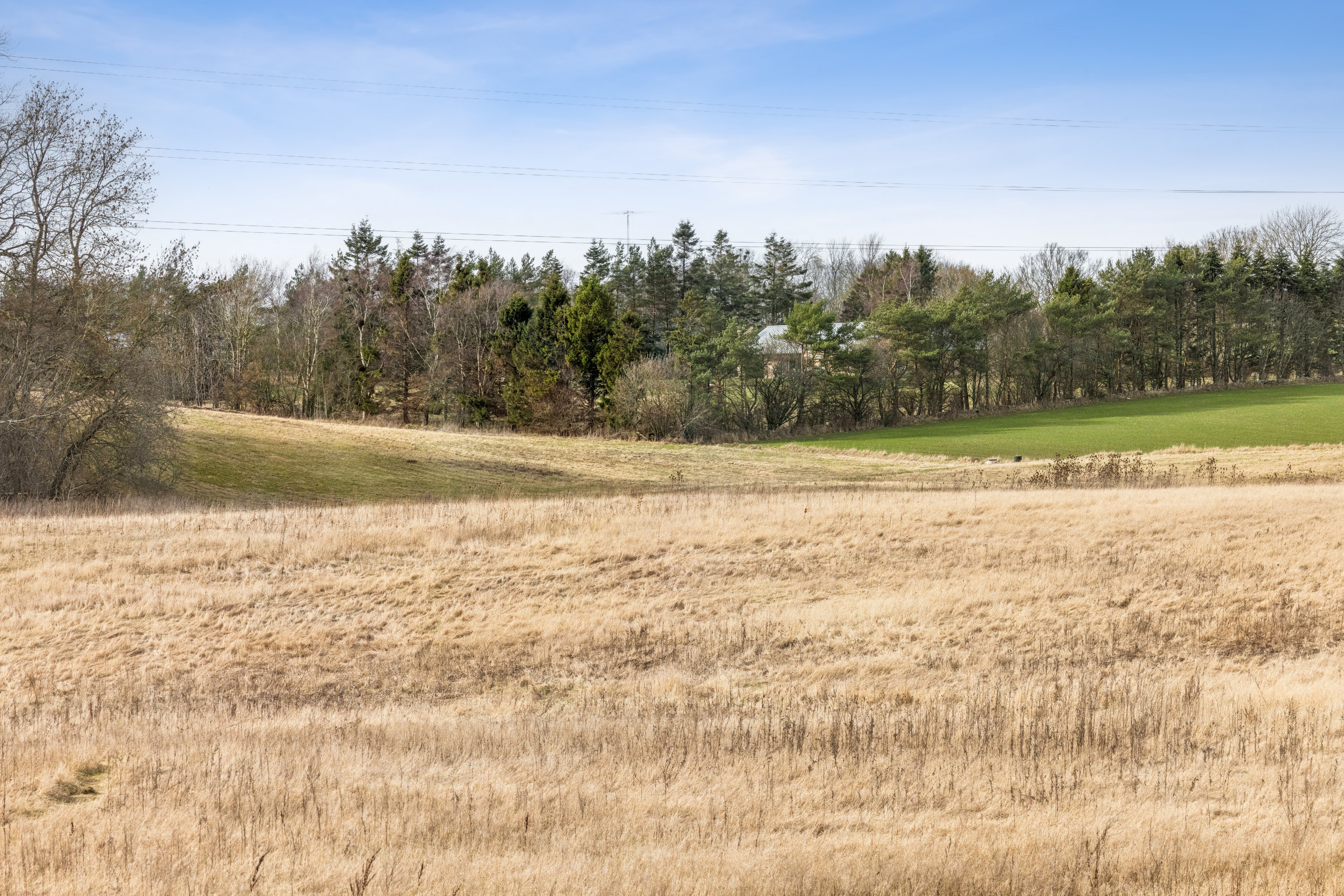 Fremhævet have billede i fuldskærmstilstand. Billede af Tronkærlund 40, 8541 Skødstrup