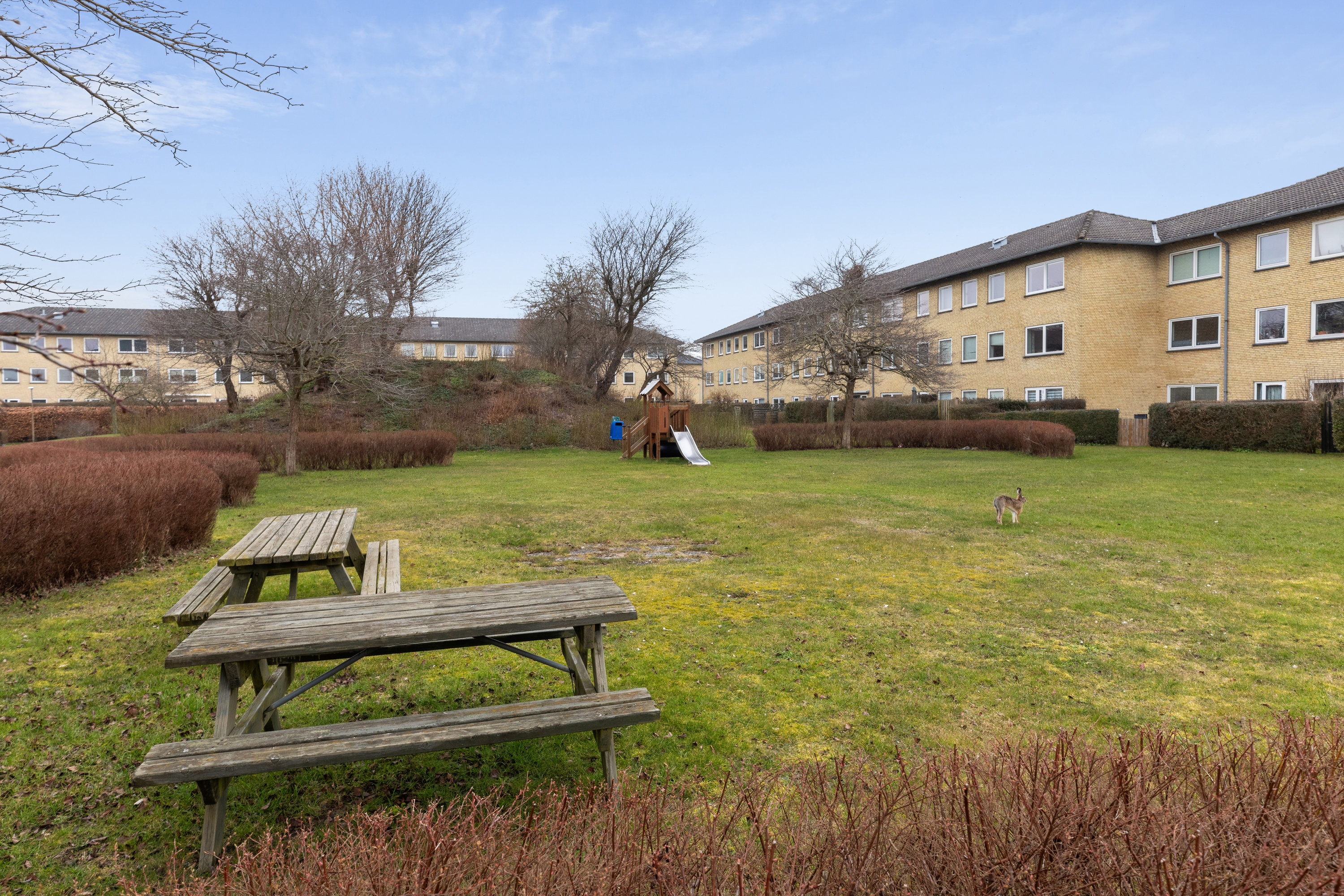 Fremhævet andet billede i fuldskærmstilstand. Billede af Rønnevangshusene 47, 2. tv., 2630 Taastrup