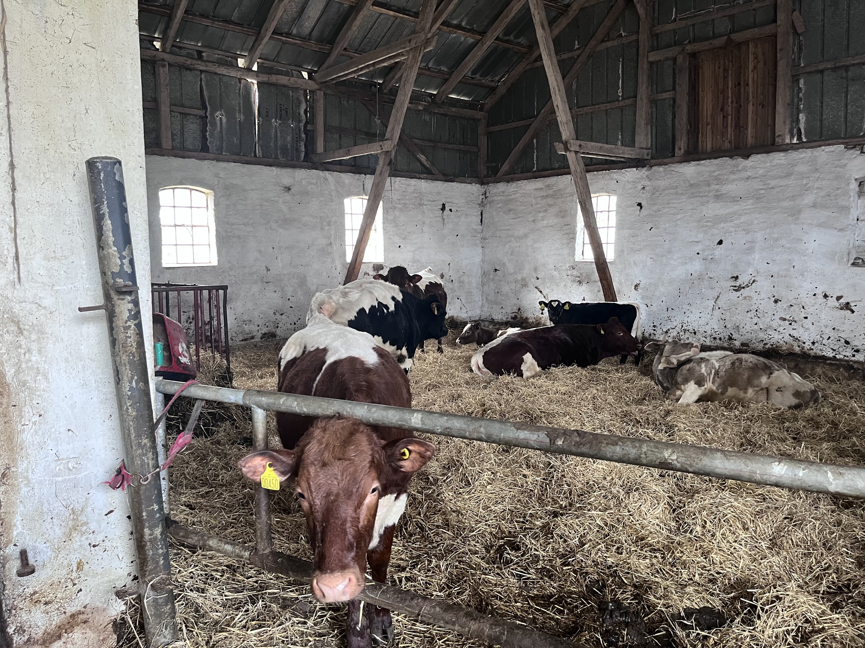 Fremhævet  billede i fuldskærmstilstand. Billede af Visbjergvej 21, Visbjerg, 6240 Løgumkloster