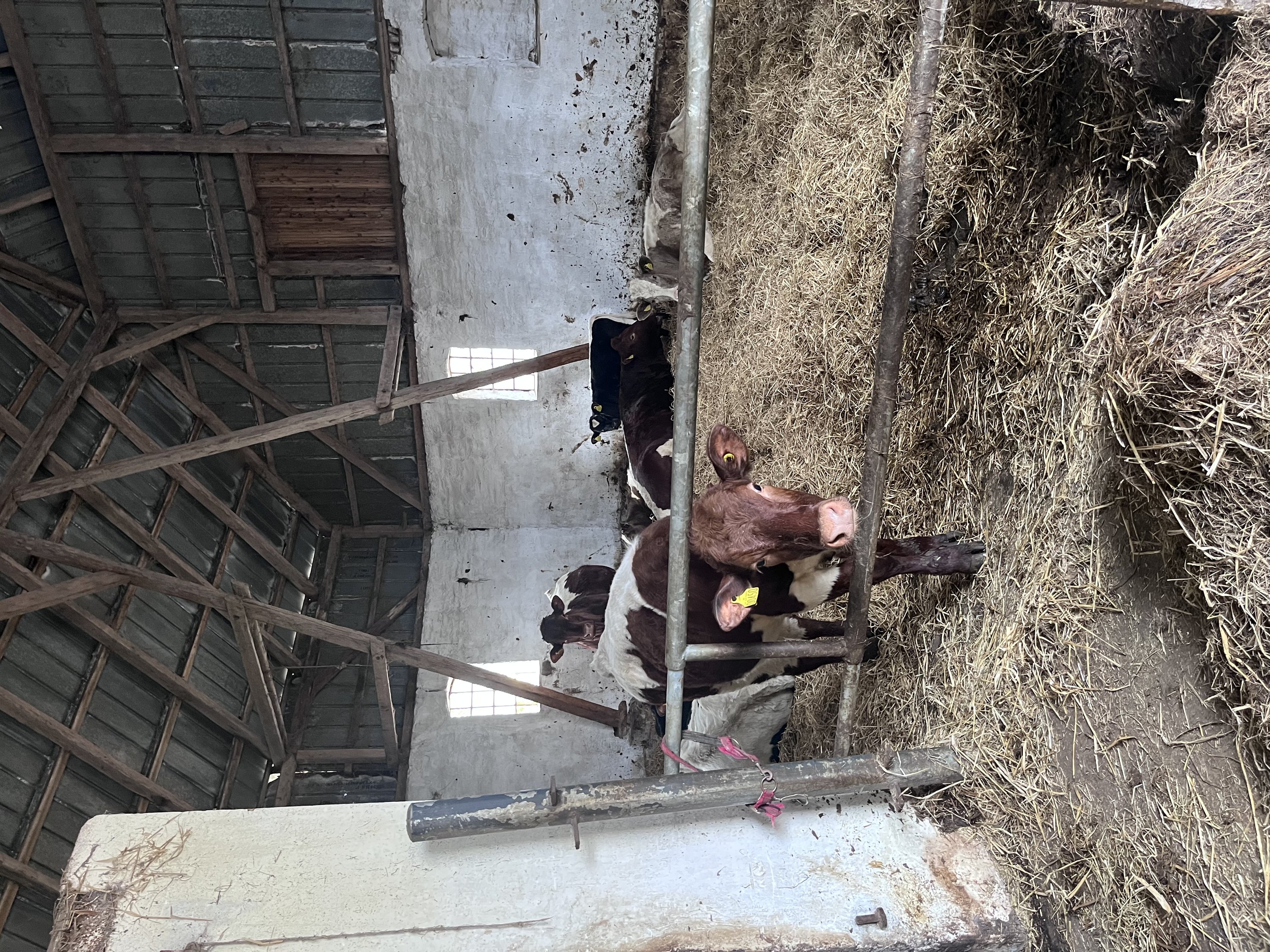 Fremhævet  billede i fuldskærmstilstand. Billede af Visbjergvej 21, Visbjerg, 6240 Løgumkloster