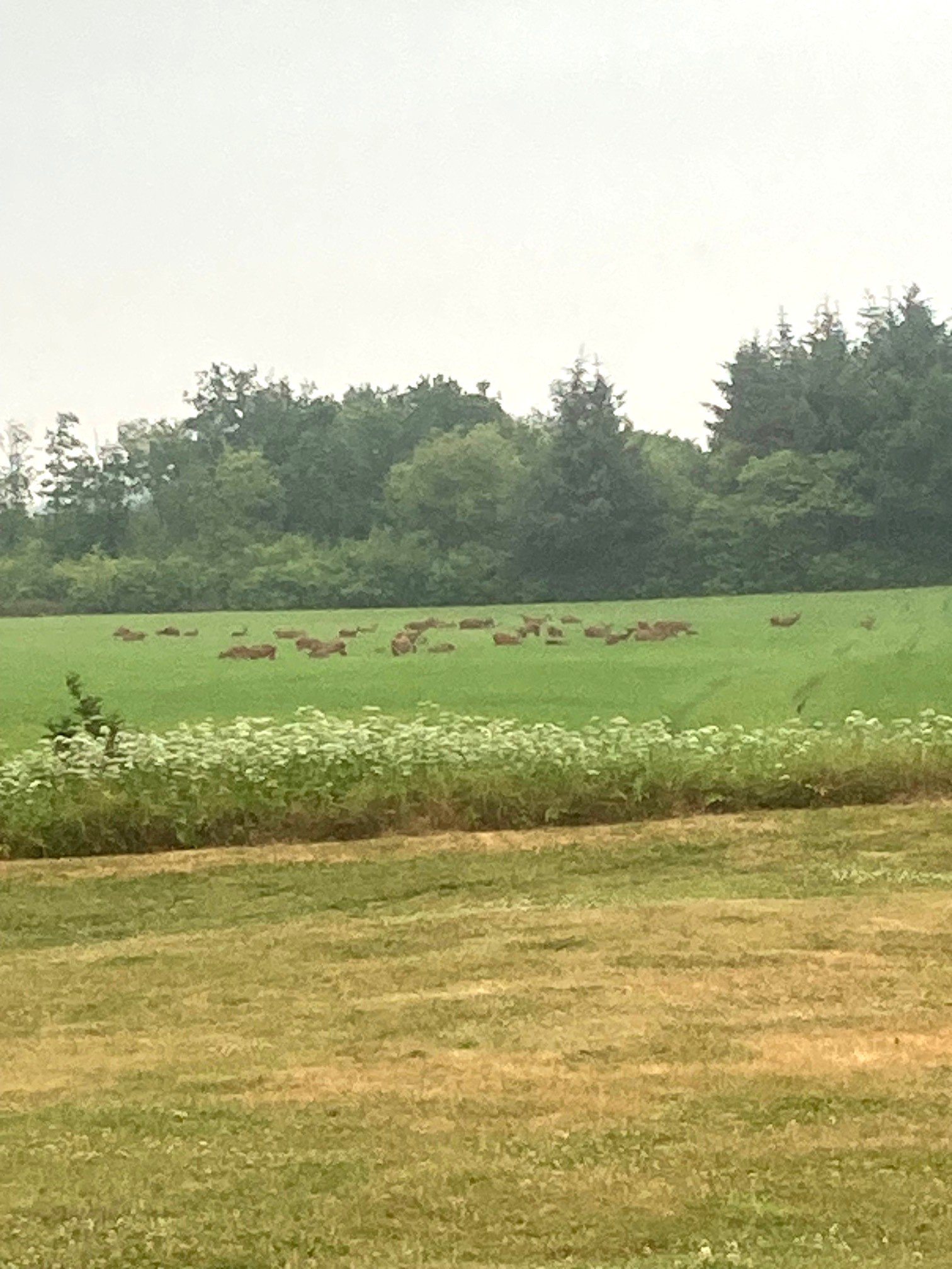 Fremhævet  billede i fuldskærmstilstand. Billede af Astrupvej 1, Hee, 6950 Ringkøbing