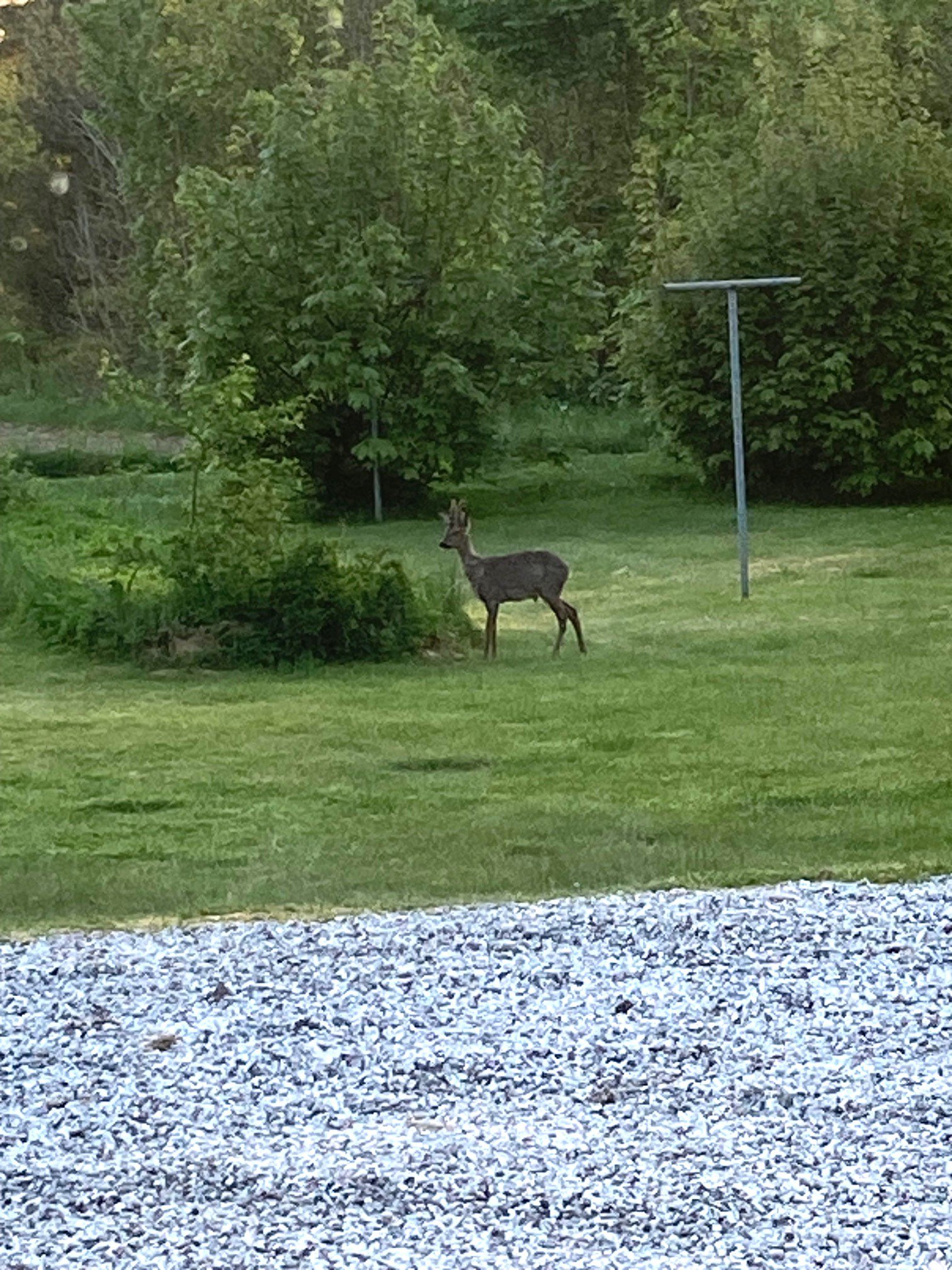 Fremhævet  billede i fuldskærmstilstand. Billede af Astrupvej 1, Hee, 6950 Ringkøbing