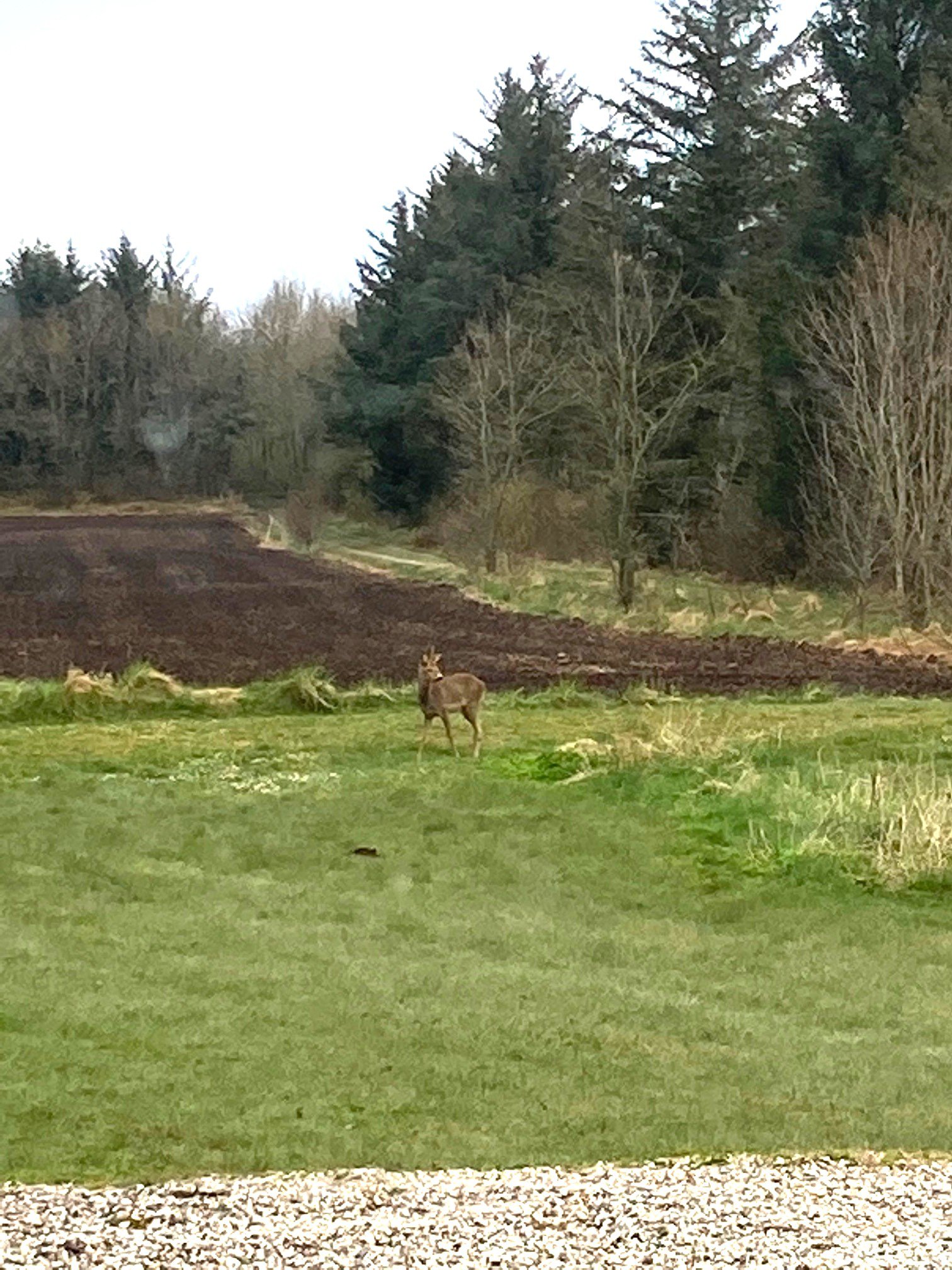Fremhævet  billede i fuldskærmstilstand. Billede af Astrupvej 1, Hee, 6950 Ringkøbing