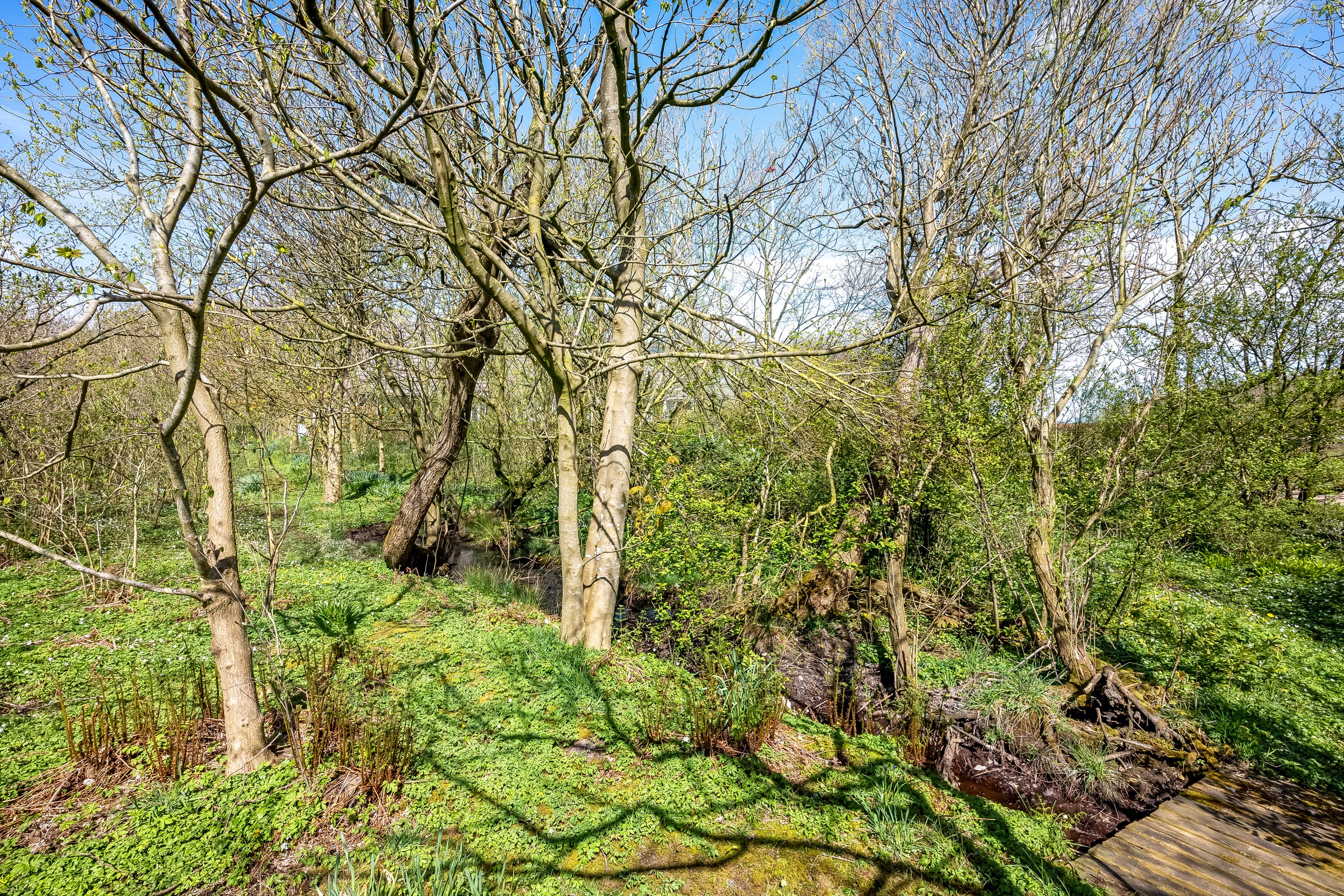 Fremhævet have billede i fuldskærmstilstand. Billede af Nørremøllevej 8, Lomborg, 7620 Lemvig