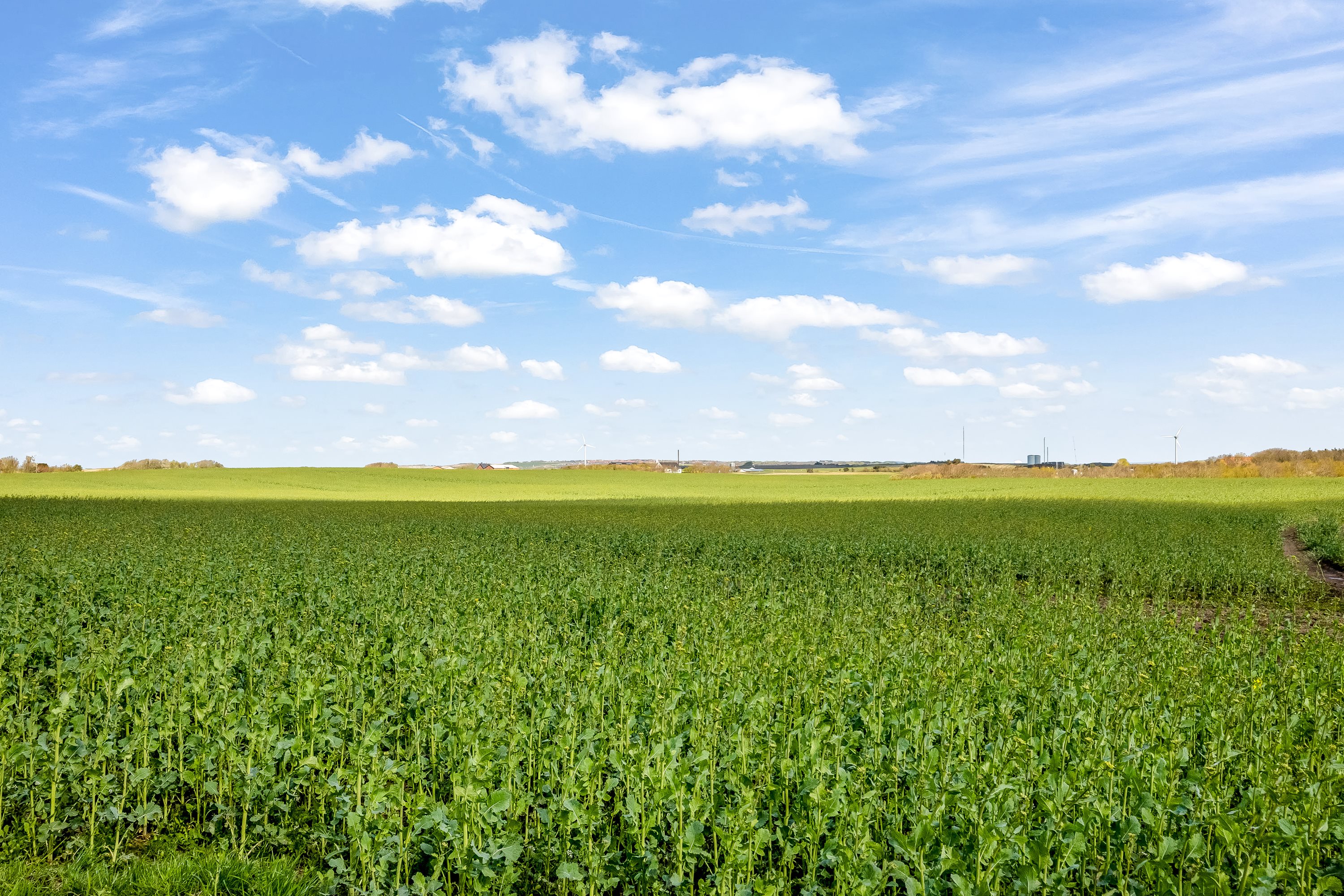 Fremhævet udsigt billede i fuldskærmstilstand. Billede af Nørremøllevej 8, Lomborg, 7620 Lemvig