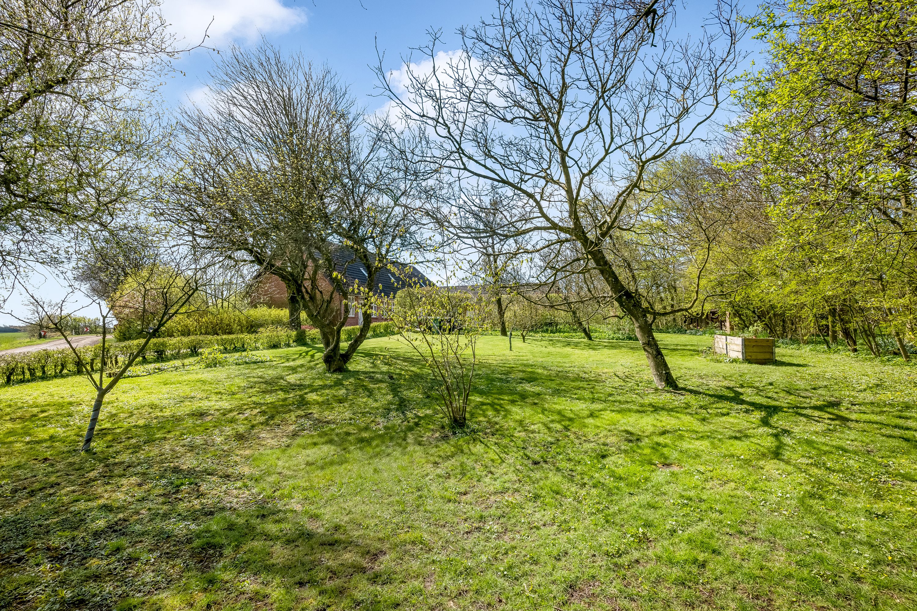 Fremhævet have billede i fuldskærmstilstand. Billede af Nørremøllevej 8, Lomborg, 7620 Lemvig