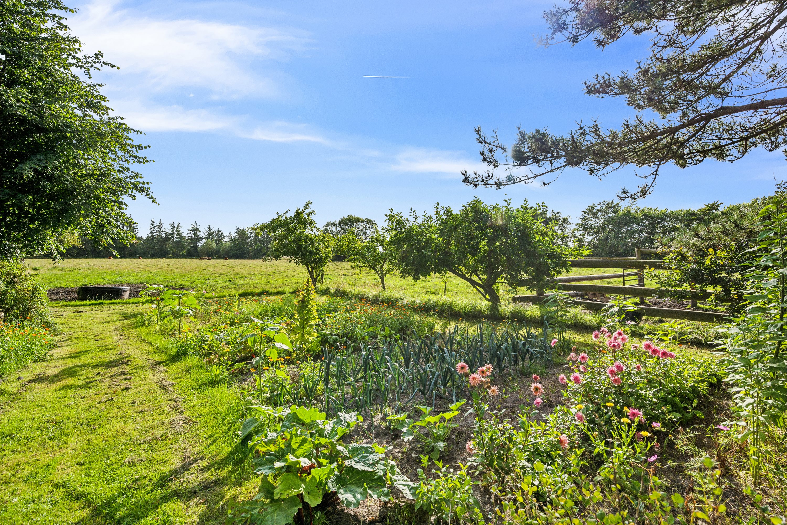 Fremhævet have billede i fuldskærmstilstand. Billede af Fruerlundvej 55, Øster Hurup, 9560 Hadsund