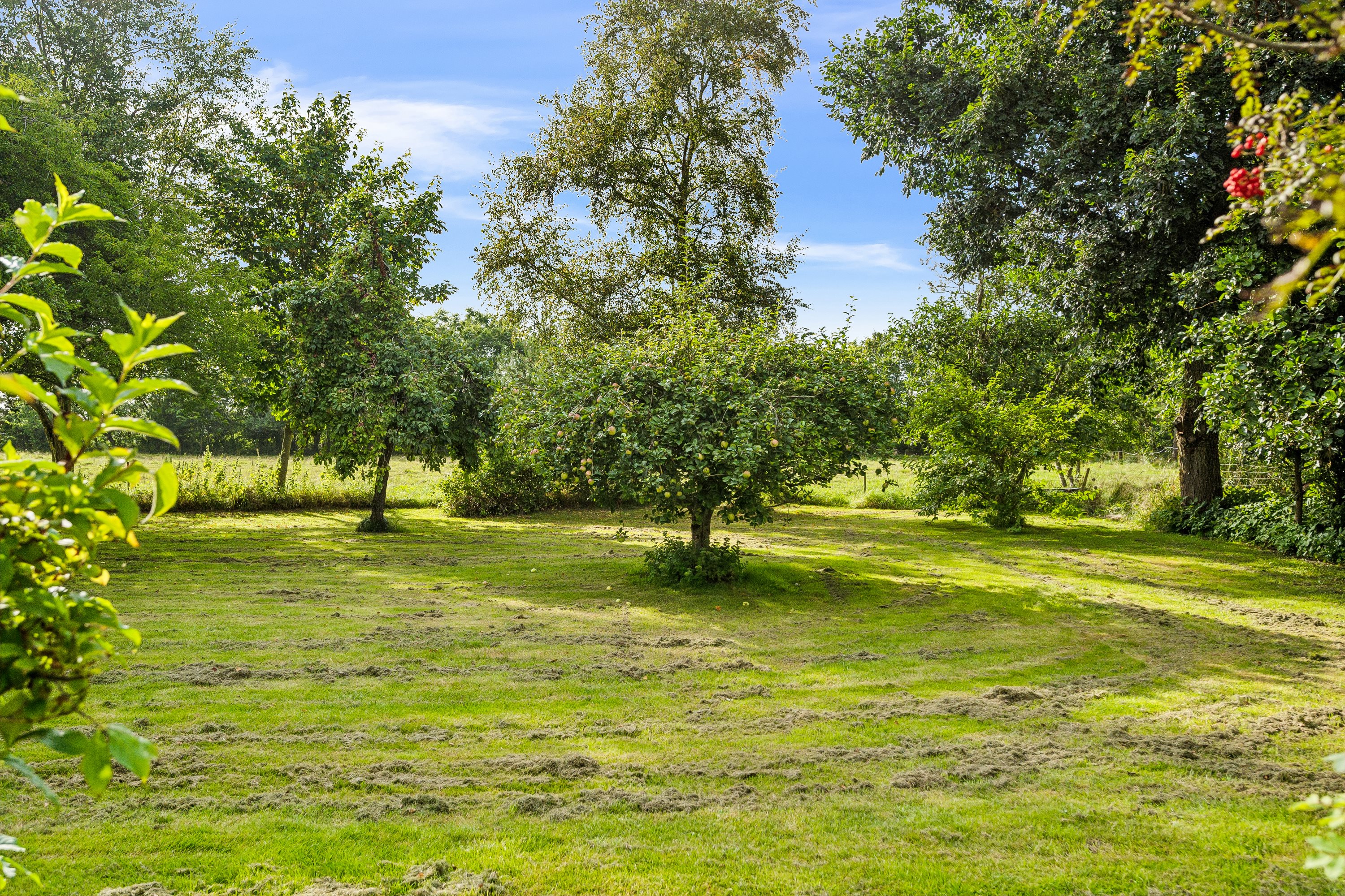 Fremhævet have billede i fuldskærmstilstand. Billede af Fruerlundvej 55, Øster Hurup, 9560 Hadsund