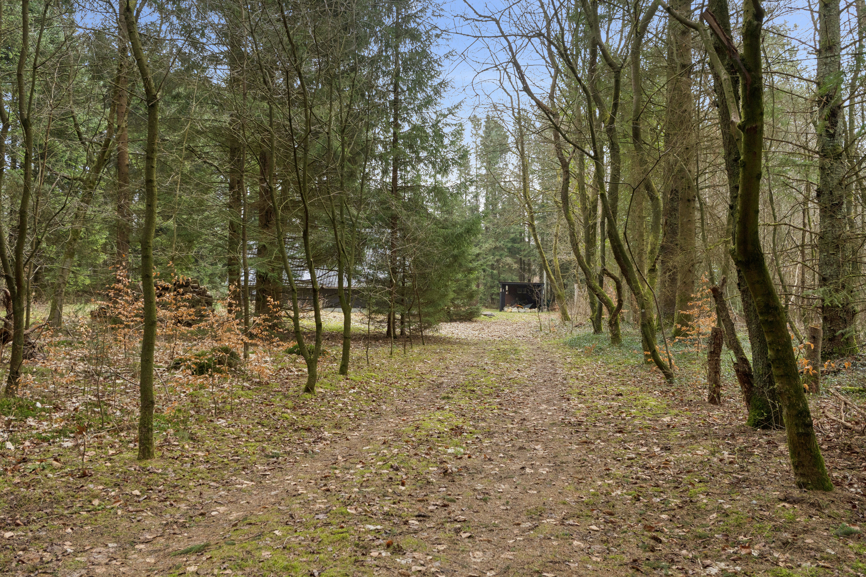 Fremhævet set fra vejen billede i fuldskærmstilstand. Billede af Tyttebærvej 44, 7441 Bording