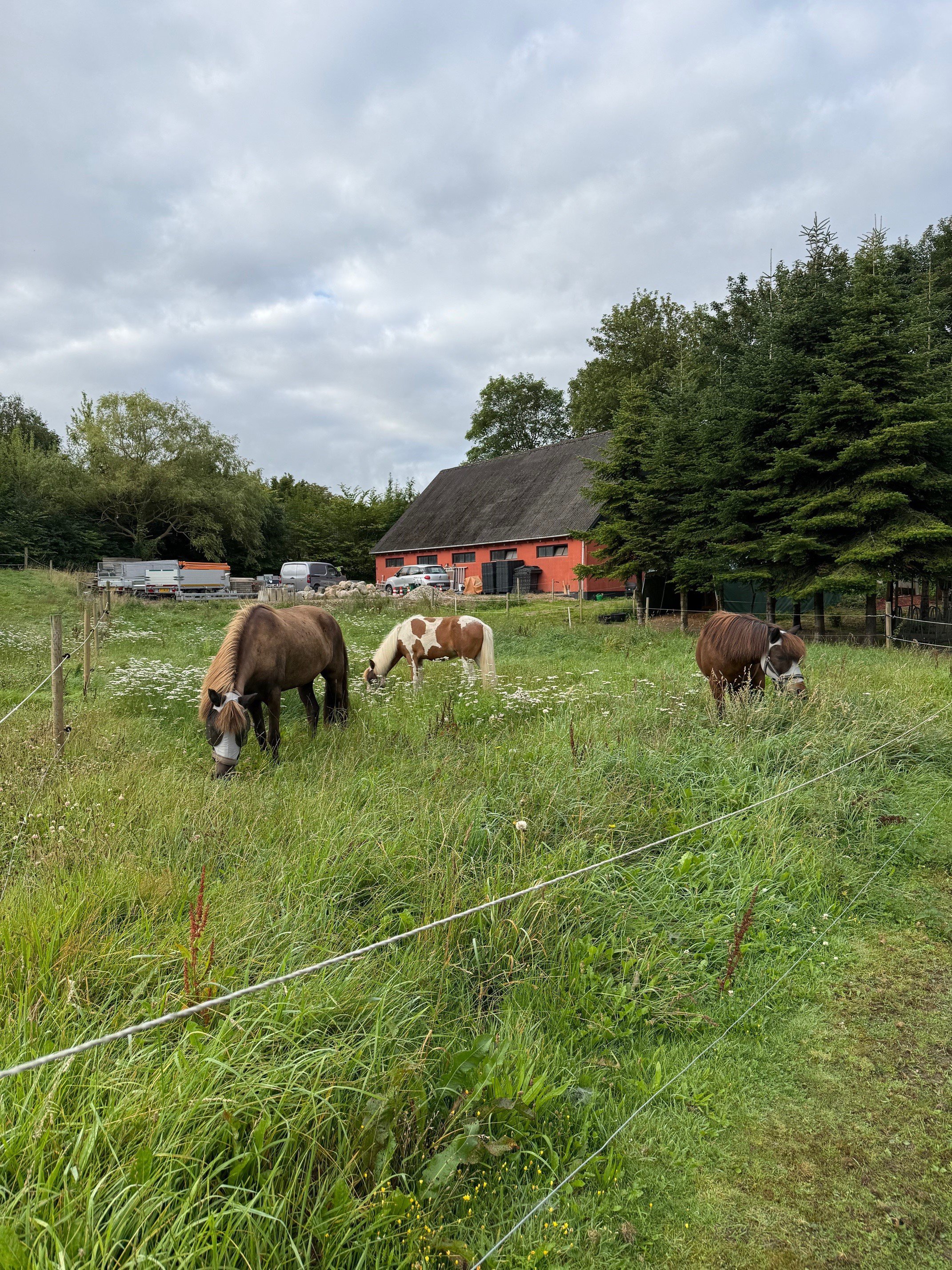 Fremhævet  billede i fuldskærmstilstand. Billede af Gl Nykøbingvej 125, Svinninge, 4572 Nørre Asmindrup