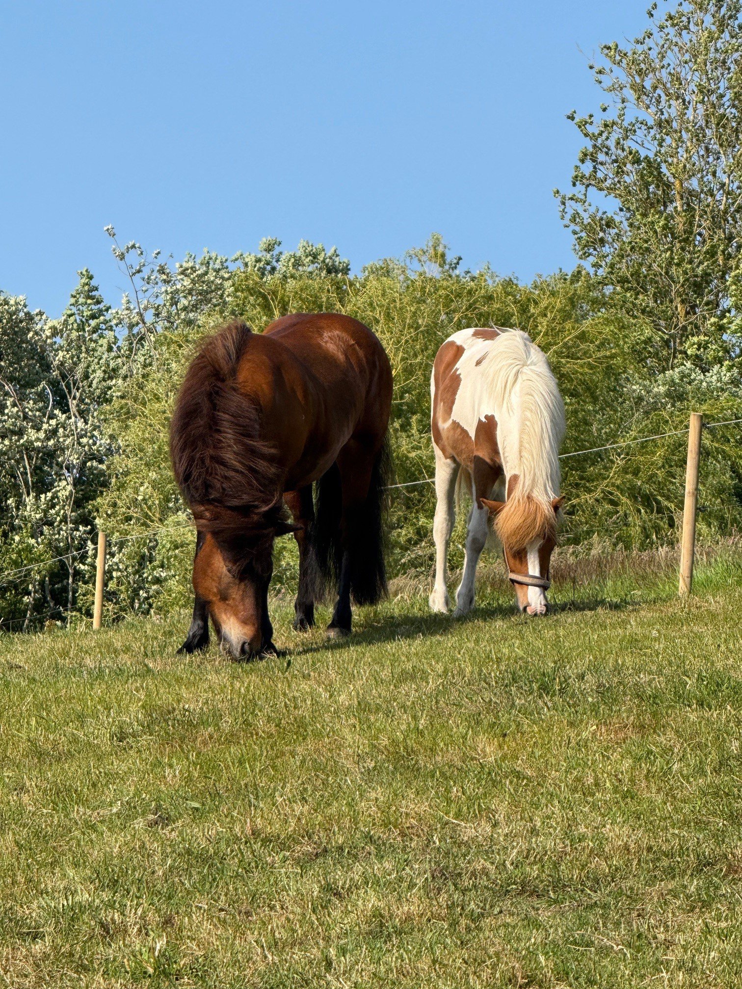 Fremhævet  billede i fuldskærmstilstand. Billede af Gl Nykøbingvej 125, Svinninge, 4572 Nørre Asmindrup