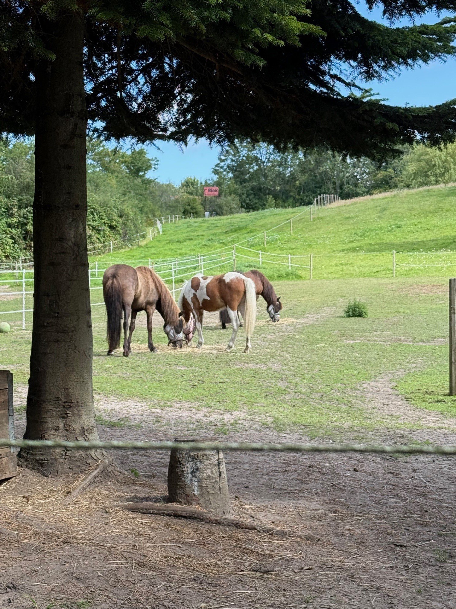 Fremhævet street view billede i fuldskærmstilstand. Billede af Gl Nykøbingvej 125, Svinninge, 4572 Nørre Asmindrup