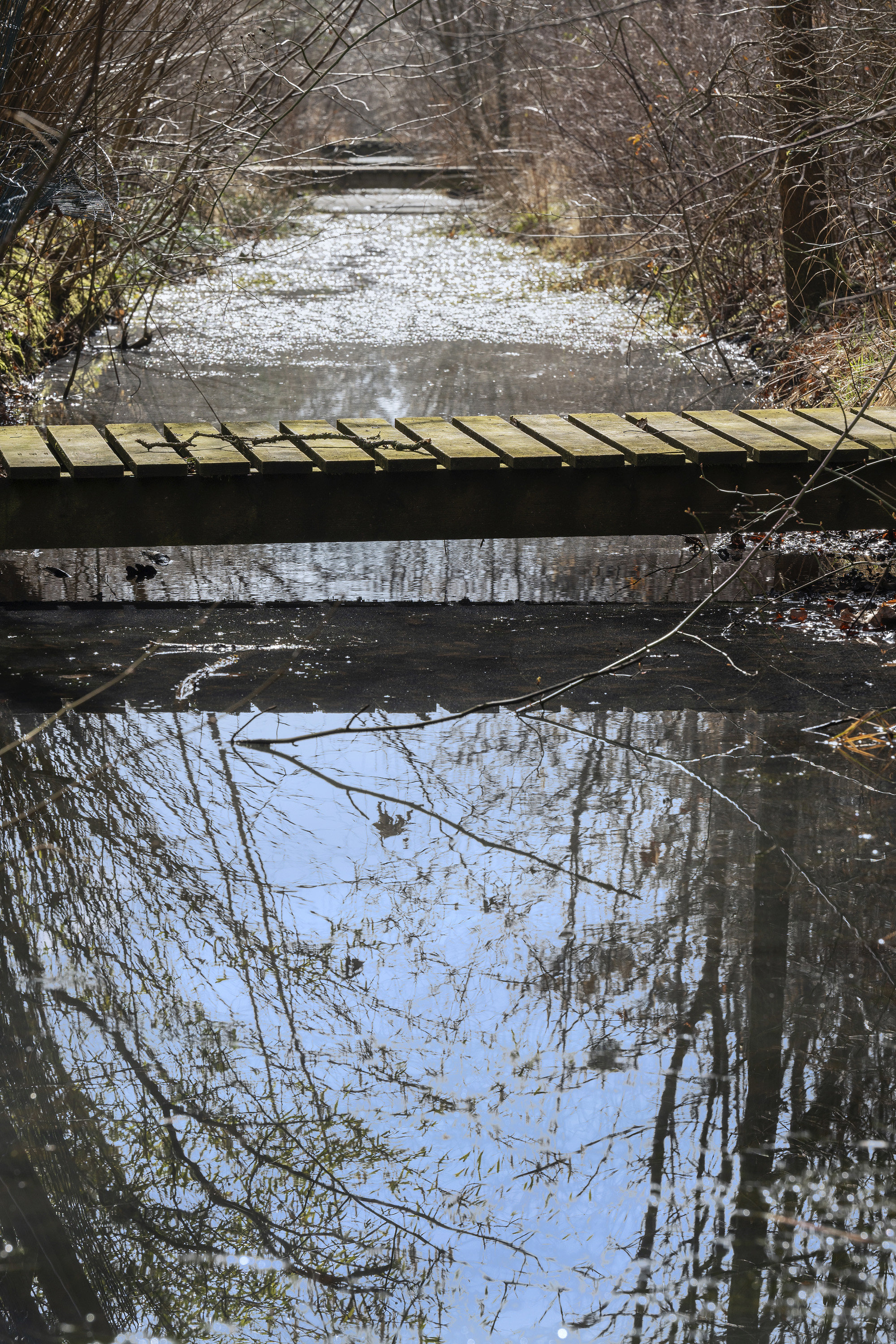 Fremhævet område billede i fuldskærmstilstand. Billede af Vejlemosevej 54, 2840 Holte