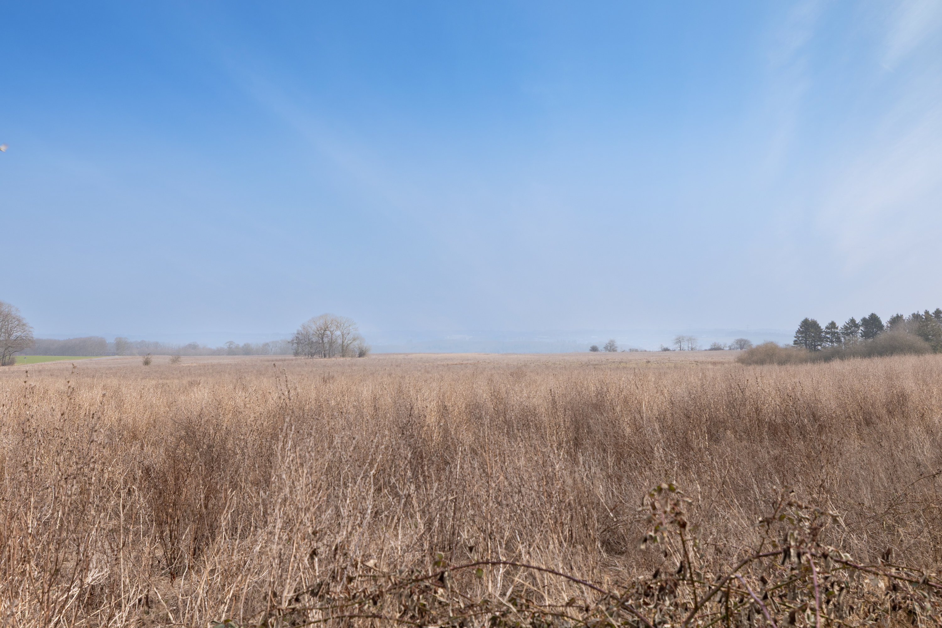 Fremhævet  billede i fuldskærmstilstand. Billede af Astervej 12, 8471 Sabro