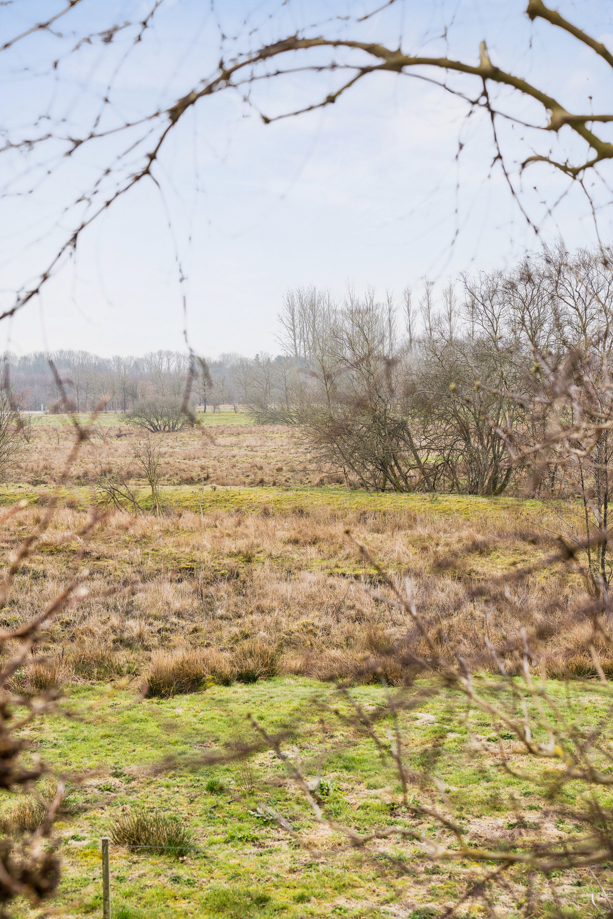 Fremhævet udendørs billede i fuldskærmstilstand. Billede af Hørlycks Alle 12C, 7200 Grindsted