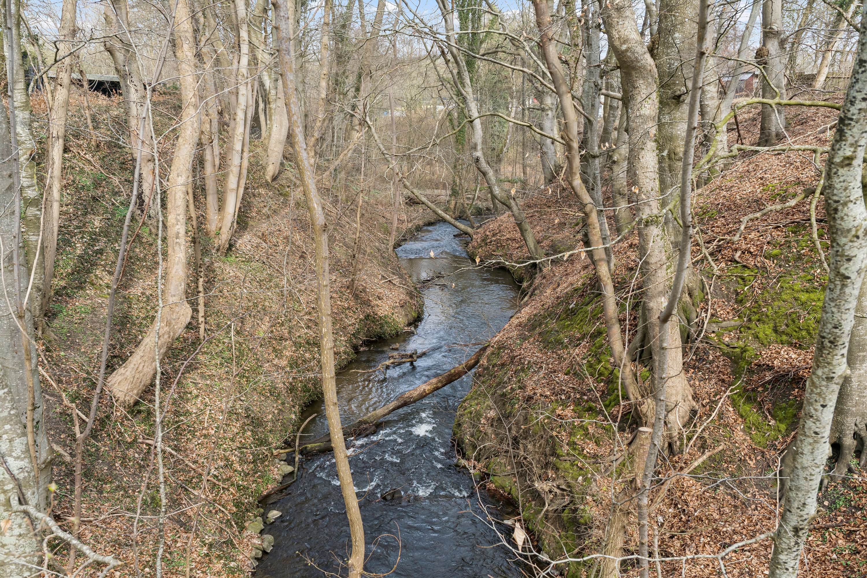 Fremhævet udendørs billede i fuldskærmstilstand. Billede af Skovvej 10, 6340 Kruså