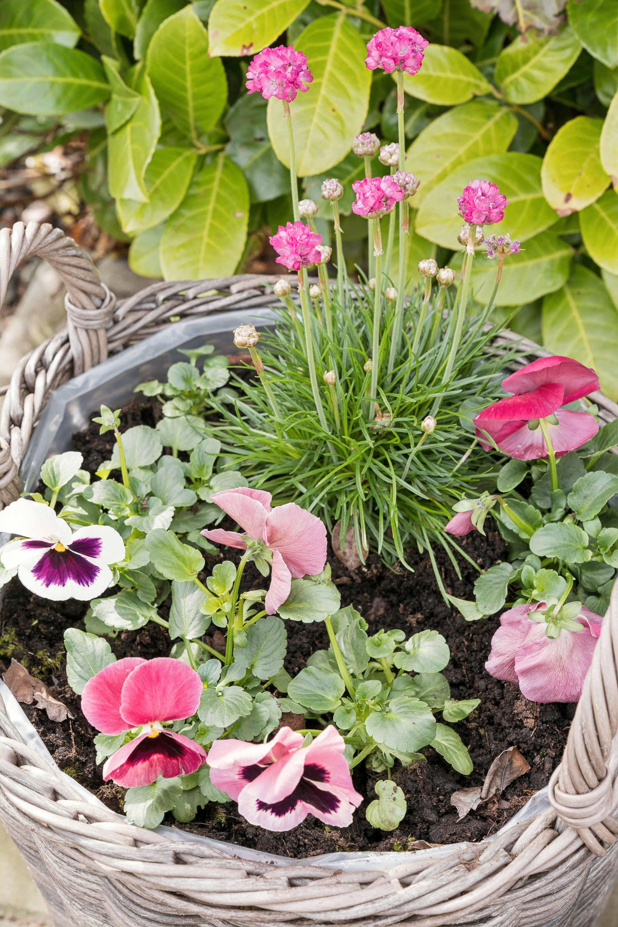 Fremhævet udendørs billede i fuldskærmstilstand. Billede af Tusindbenet 24, 7190 Billund