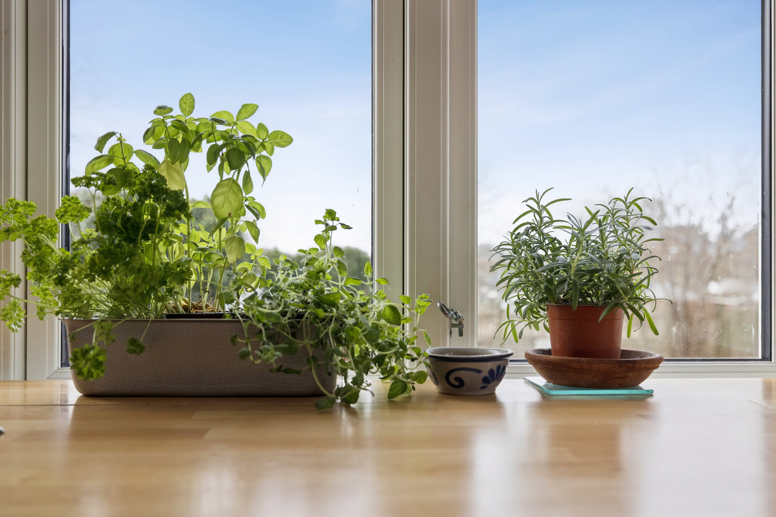 Fremhævet  billede i fuldskærmstilstand. Billede af Vinkelvej 16, 8544 Mørke