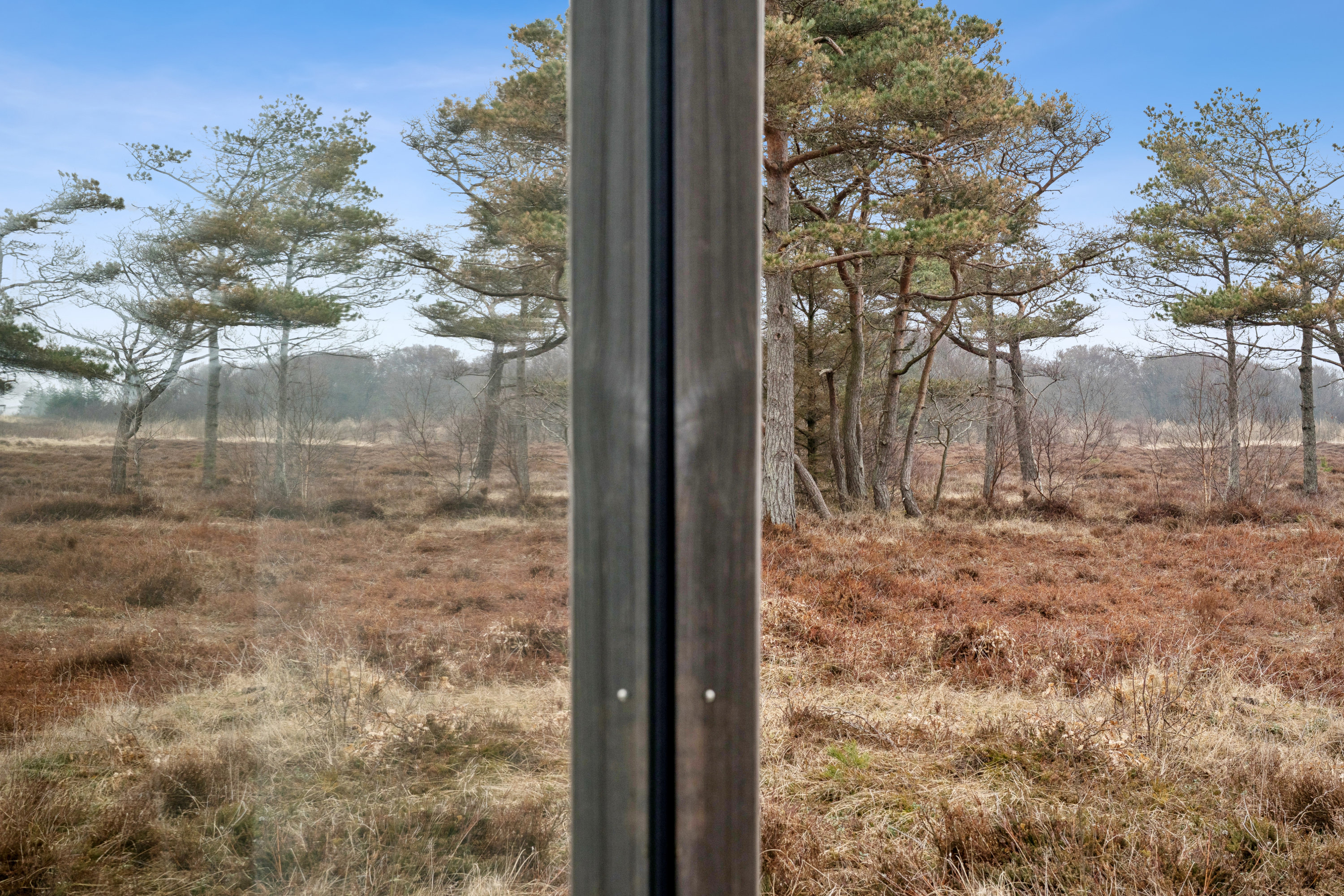 Fremhævet have billede i fuldskærmstilstand. Billede af Osbornsvej 89, 9370 Hals