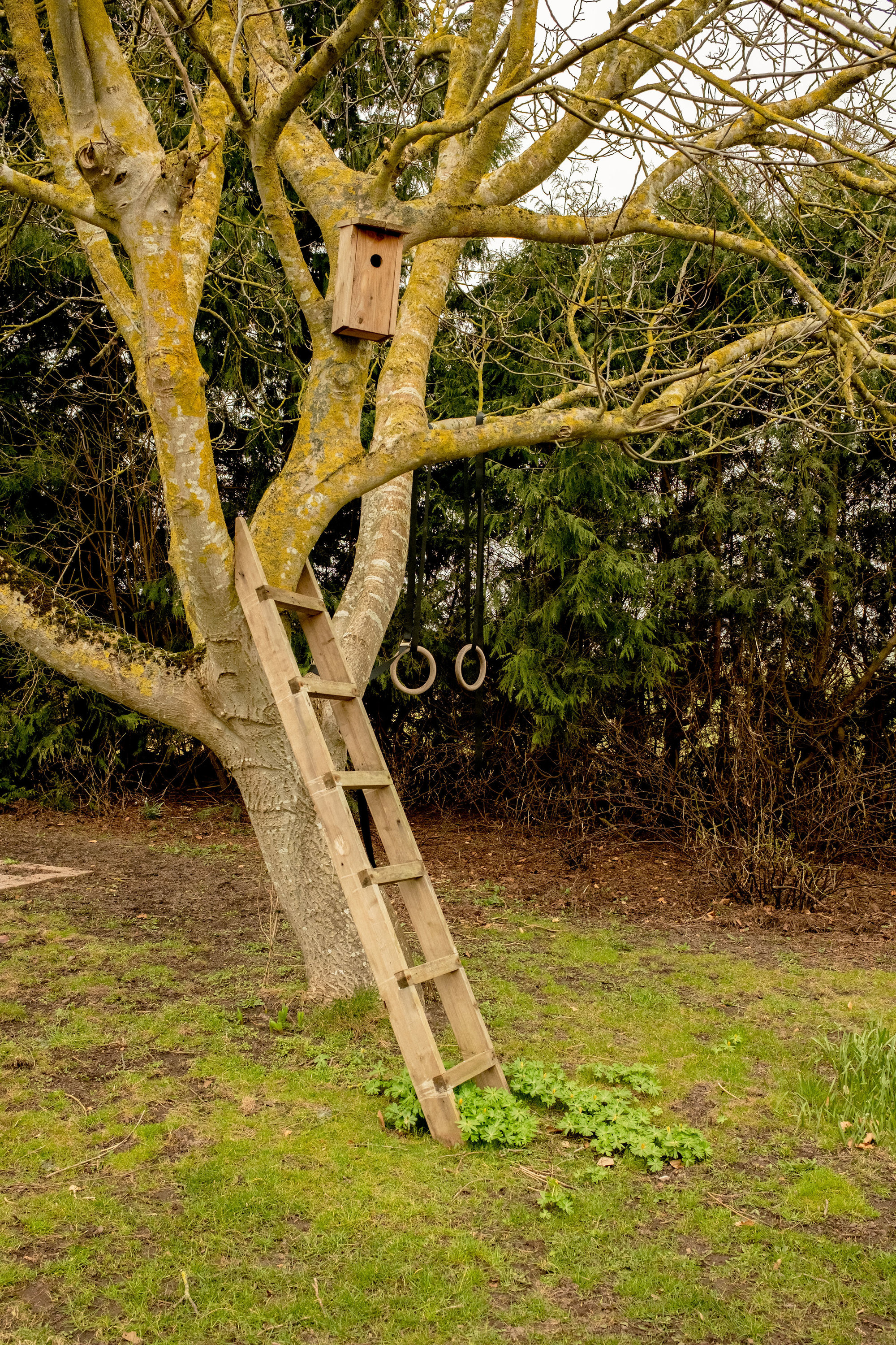 Fremhævet have billede i fuldskærmstilstand. Billede af Lindekrogvej 4, Vinstrup, 4250 Fuglebjerg