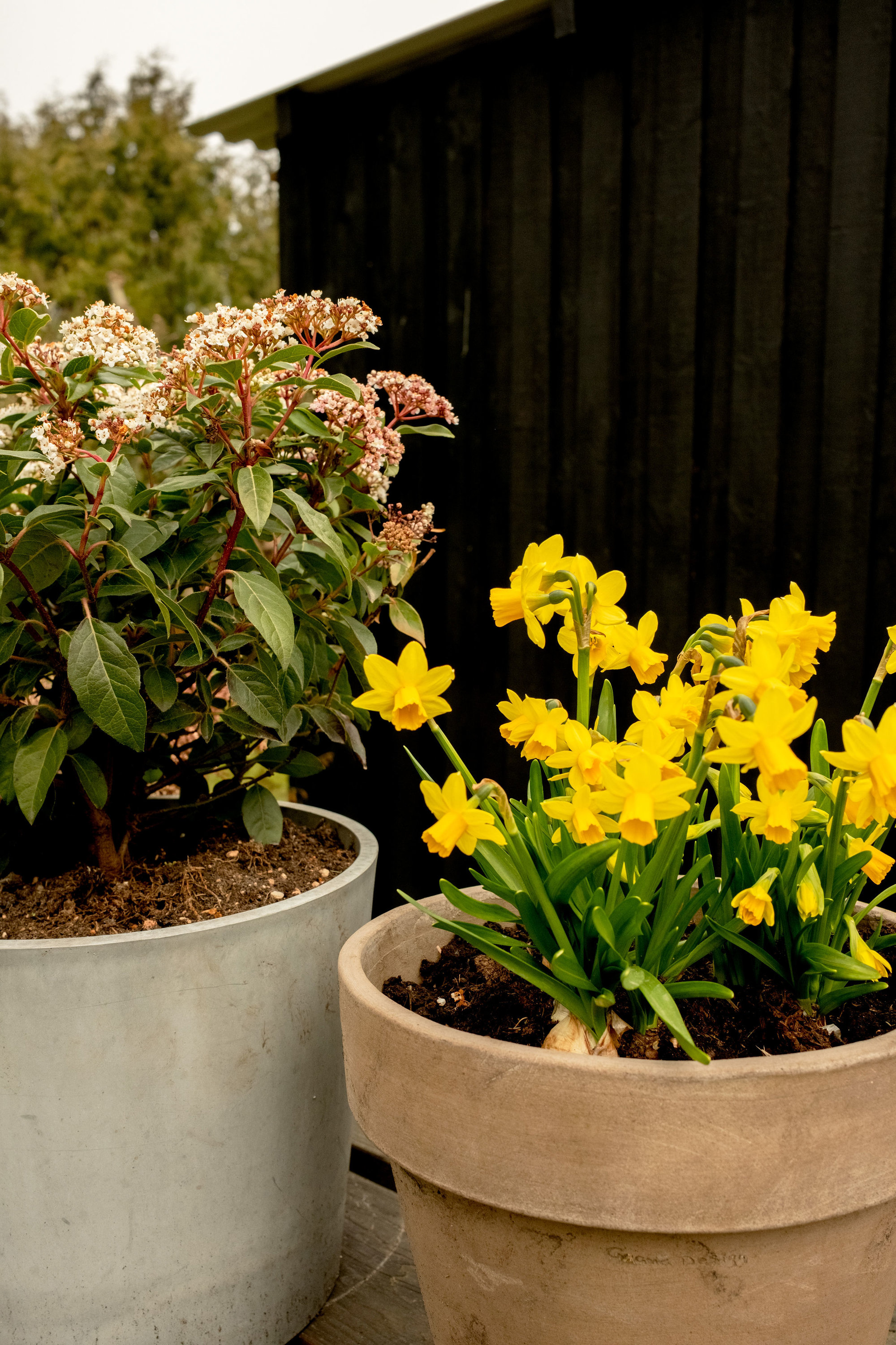 Fremhævet have billede i fuldskærmstilstand. Billede af Lindekrogvej 4, Vinstrup, 4250 Fuglebjerg