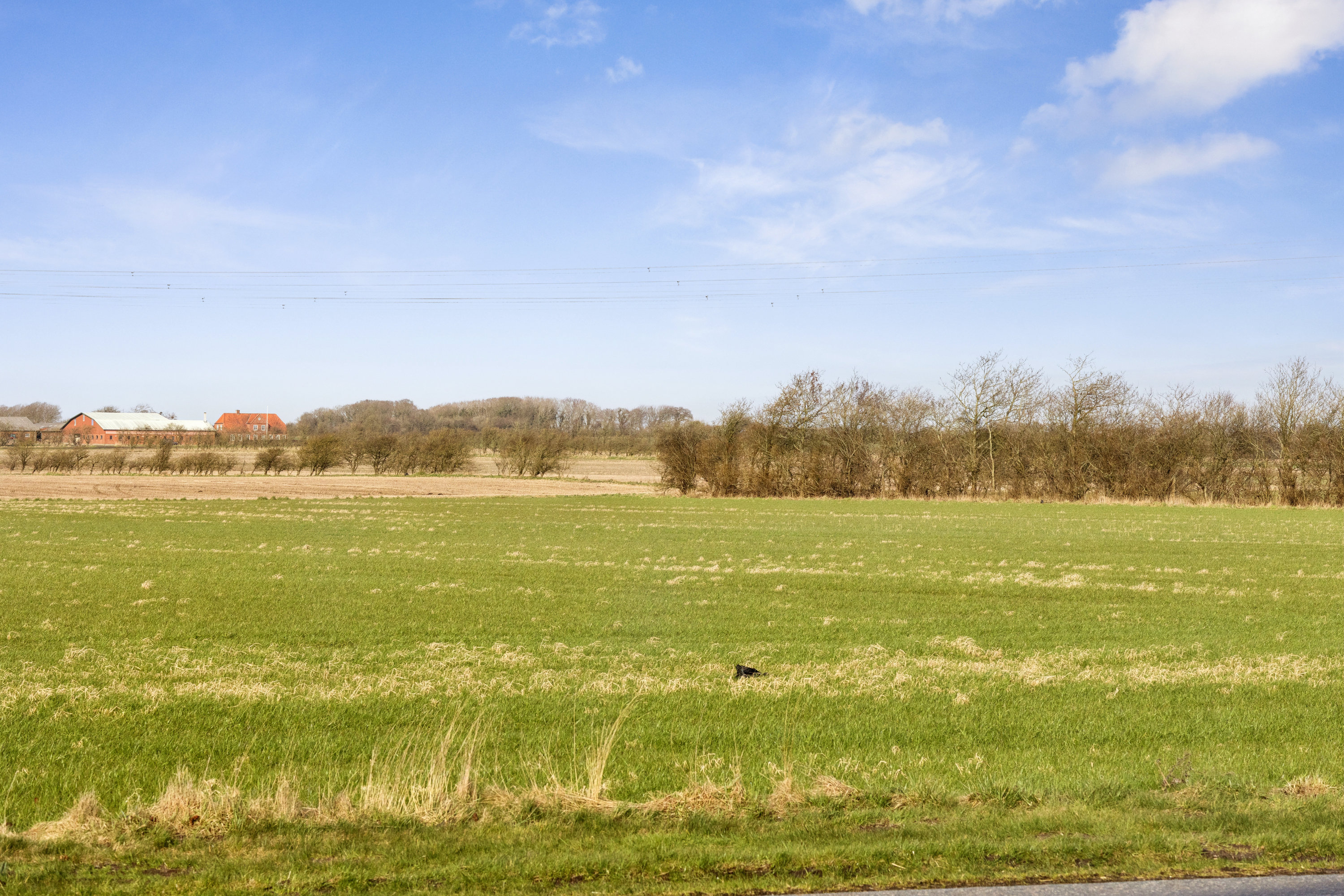 Fremhævet udsigt billede i fuldskærmstilstand. Billede af Vesterbækvej 26, Vesterbæk, 6760 Ribe