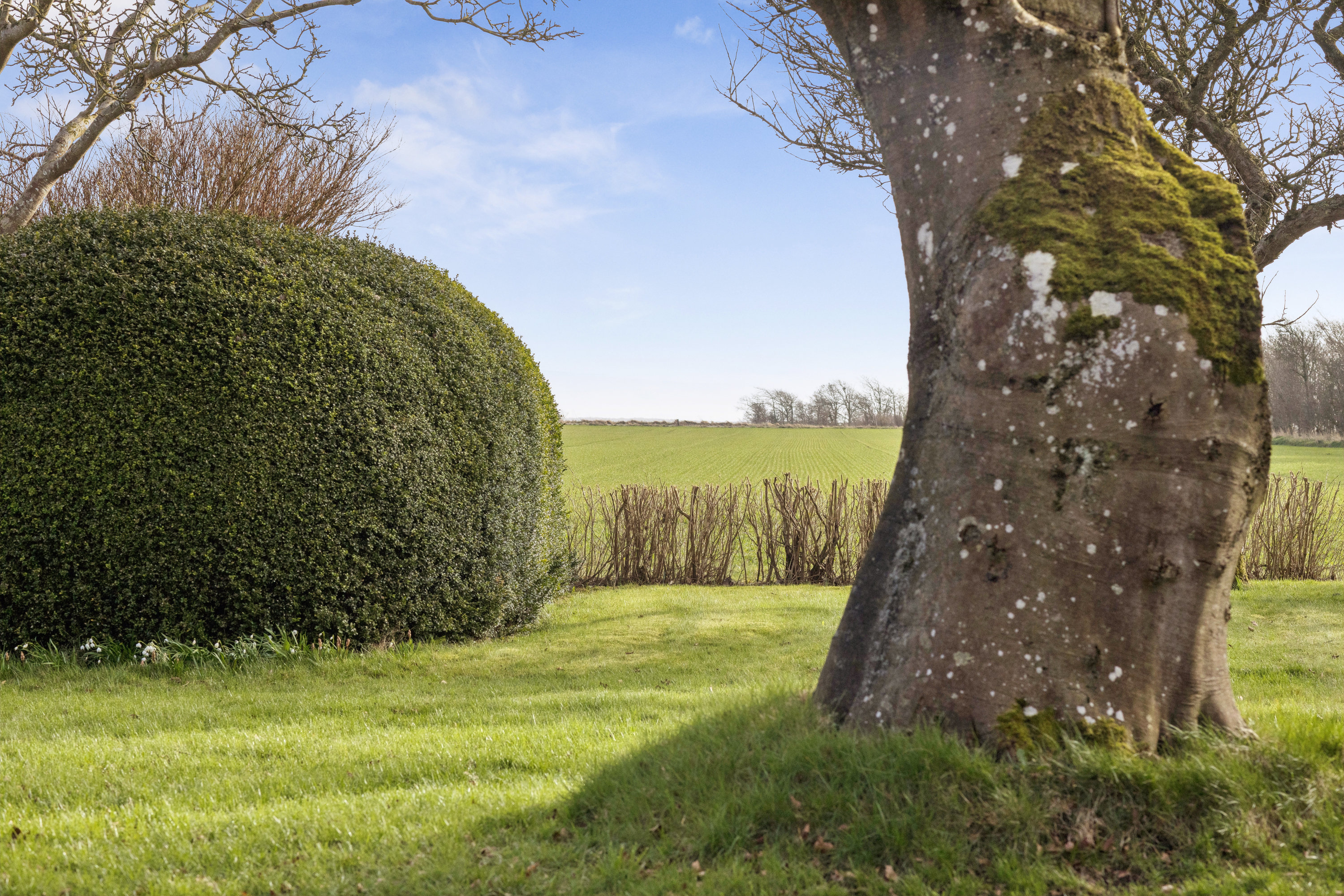 Fremhævet have billede i fuldskærmstilstand. Billede af Vesterbækvej 26, Vesterbæk, 6760 Ribe