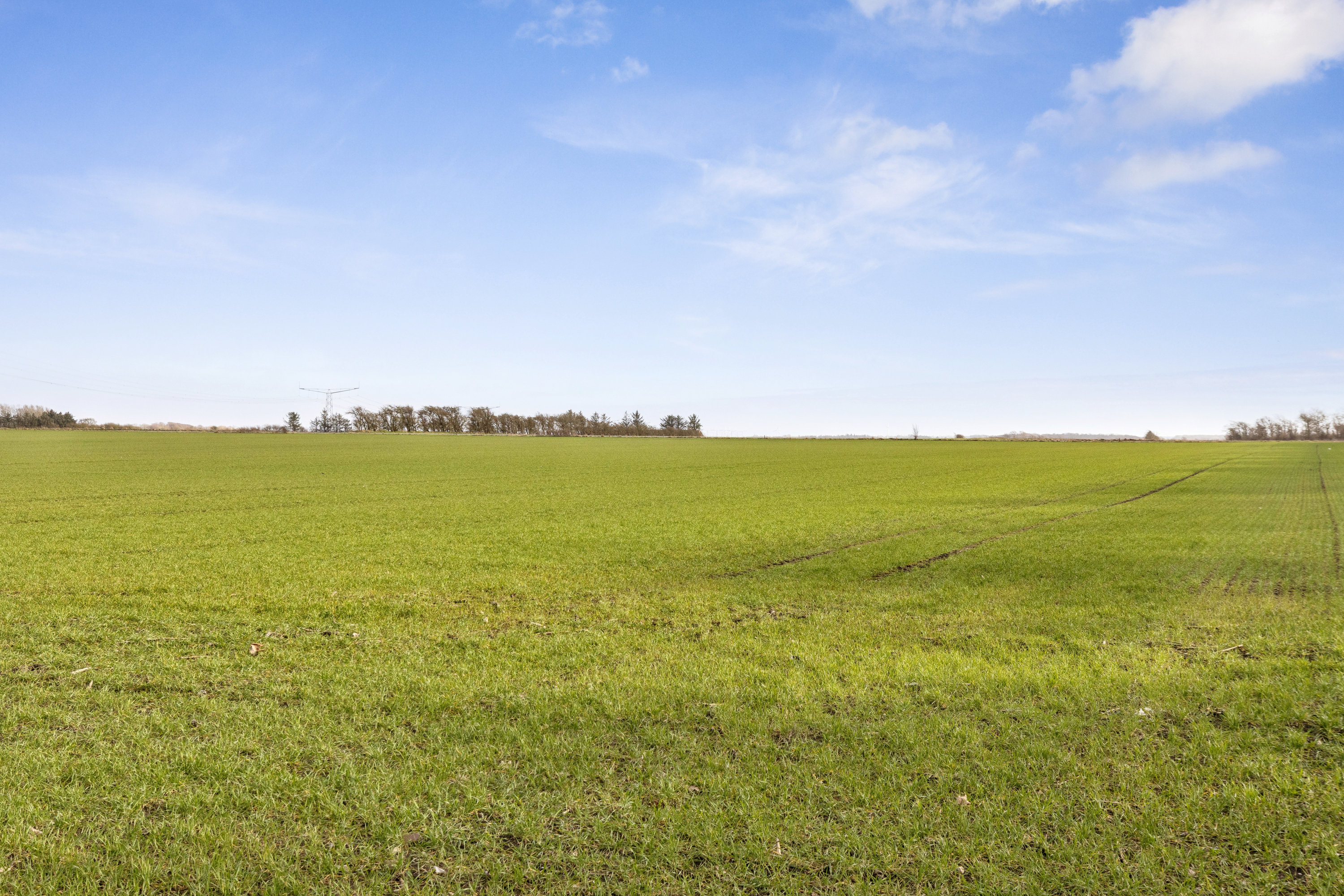 Fremhævet omgivelser billede i fuldskærmstilstand. Billede af Vesterbækvej 26, Vesterbæk, 6760 Ribe