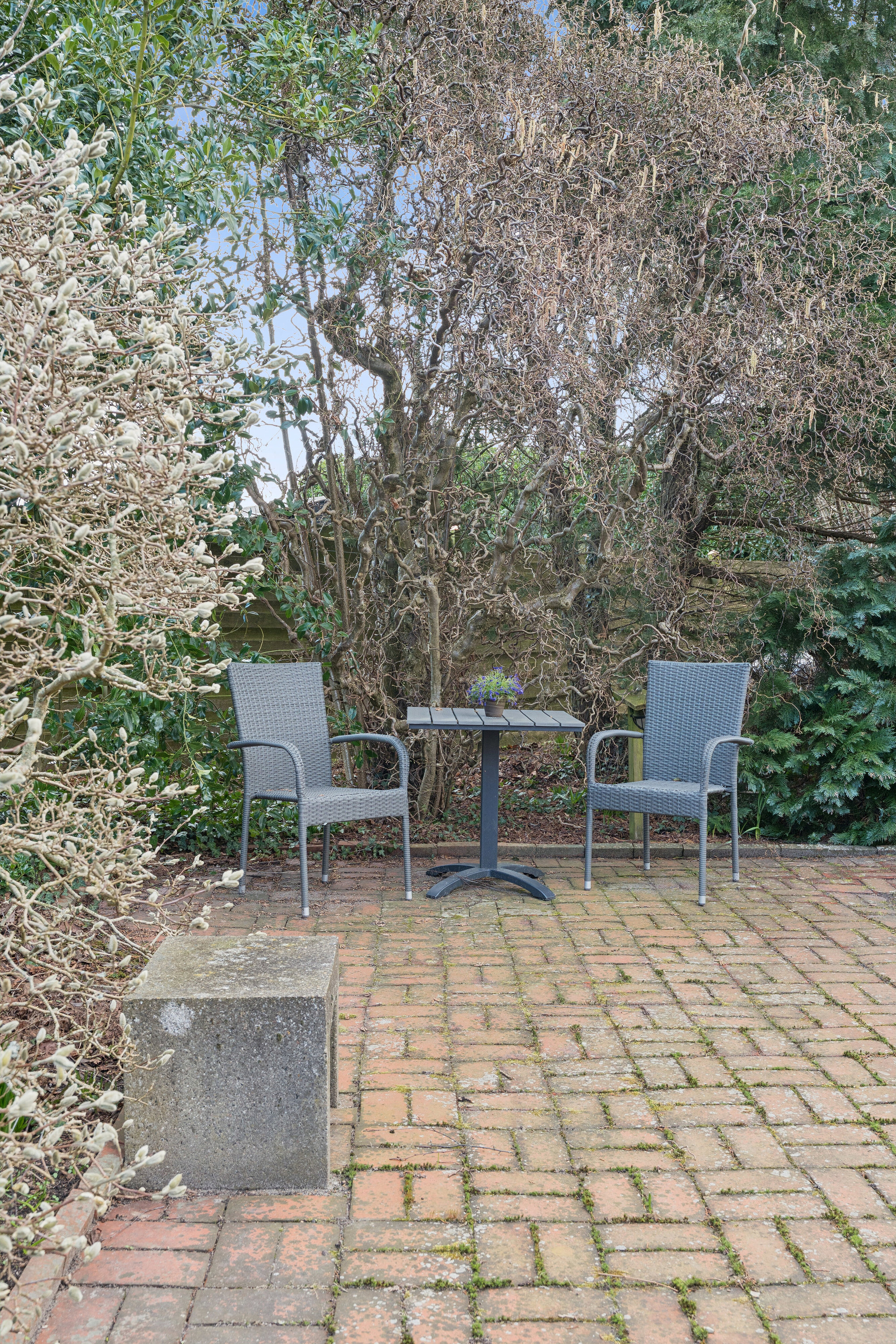 Fremhævet terrasse billede i fuldskærmstilstand. Billede af Østergade 9, 7200 Grindsted