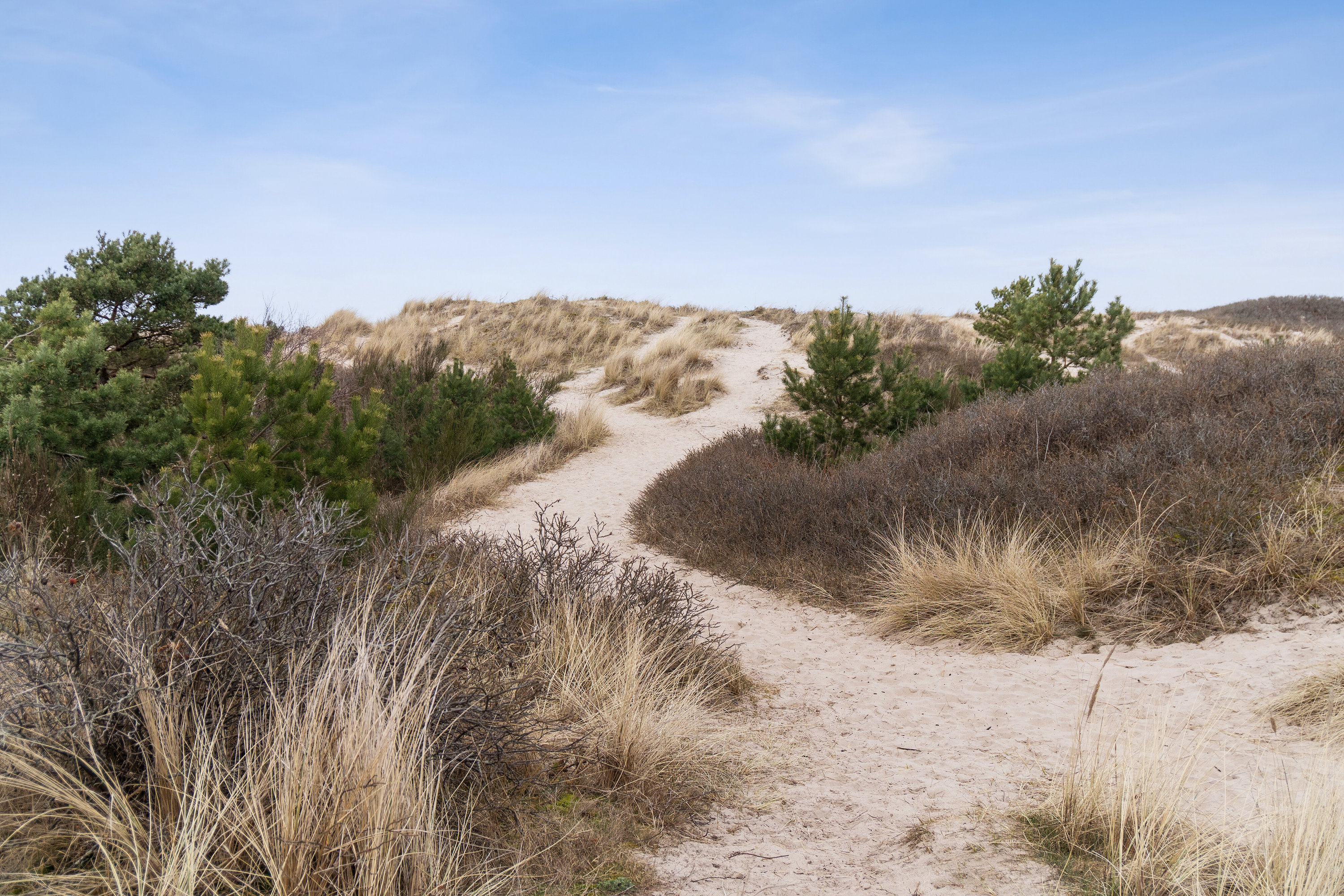 Fremhævet udendørs billede i fuldskærmstilstand. Billede af Lyngvej 6, 3100 Hornbæk