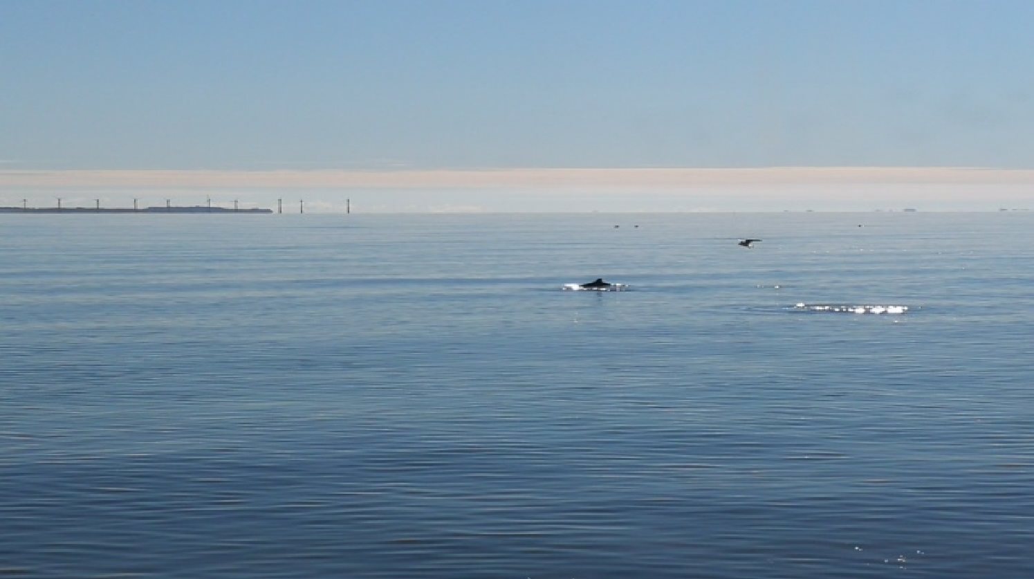Fremhævet  billede i fuldskærmstilstand. Billede af Rudehusvej 8, Rude Strand, 8300 Odder