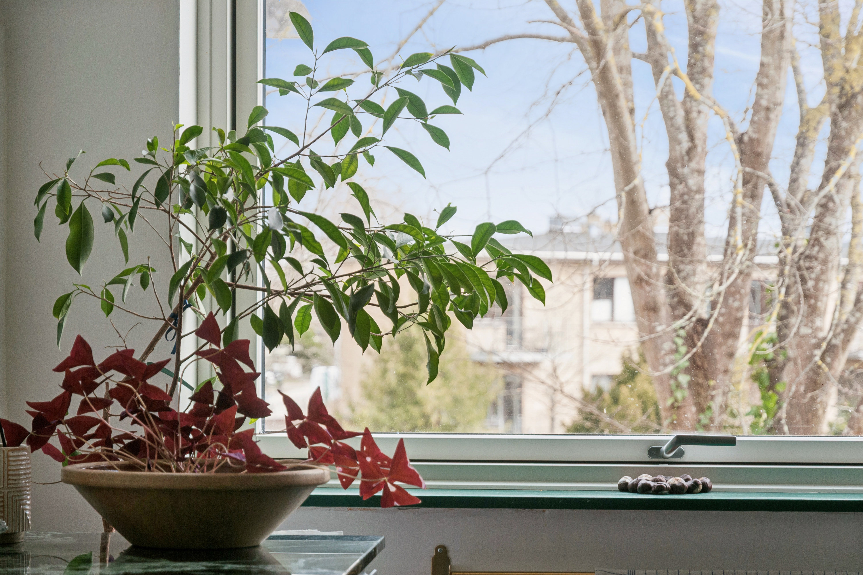 Fremhævet køkken billede i fuldskærmstilstand. Billede af Bondehavevej 10G, 1. tv., 2880 Bagsværd