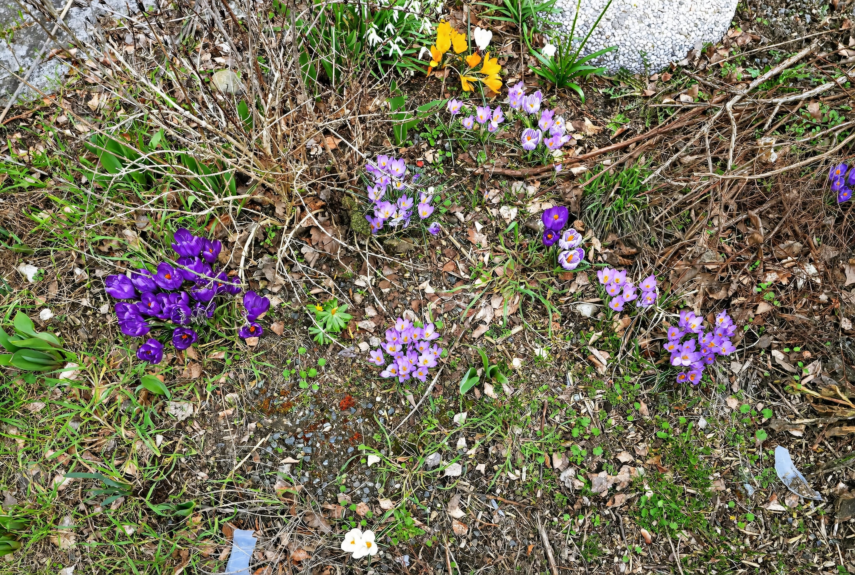 Fremhævet have billede i fuldskærmstilstand. Billede af Moseklyngen 7, 4573 Højby