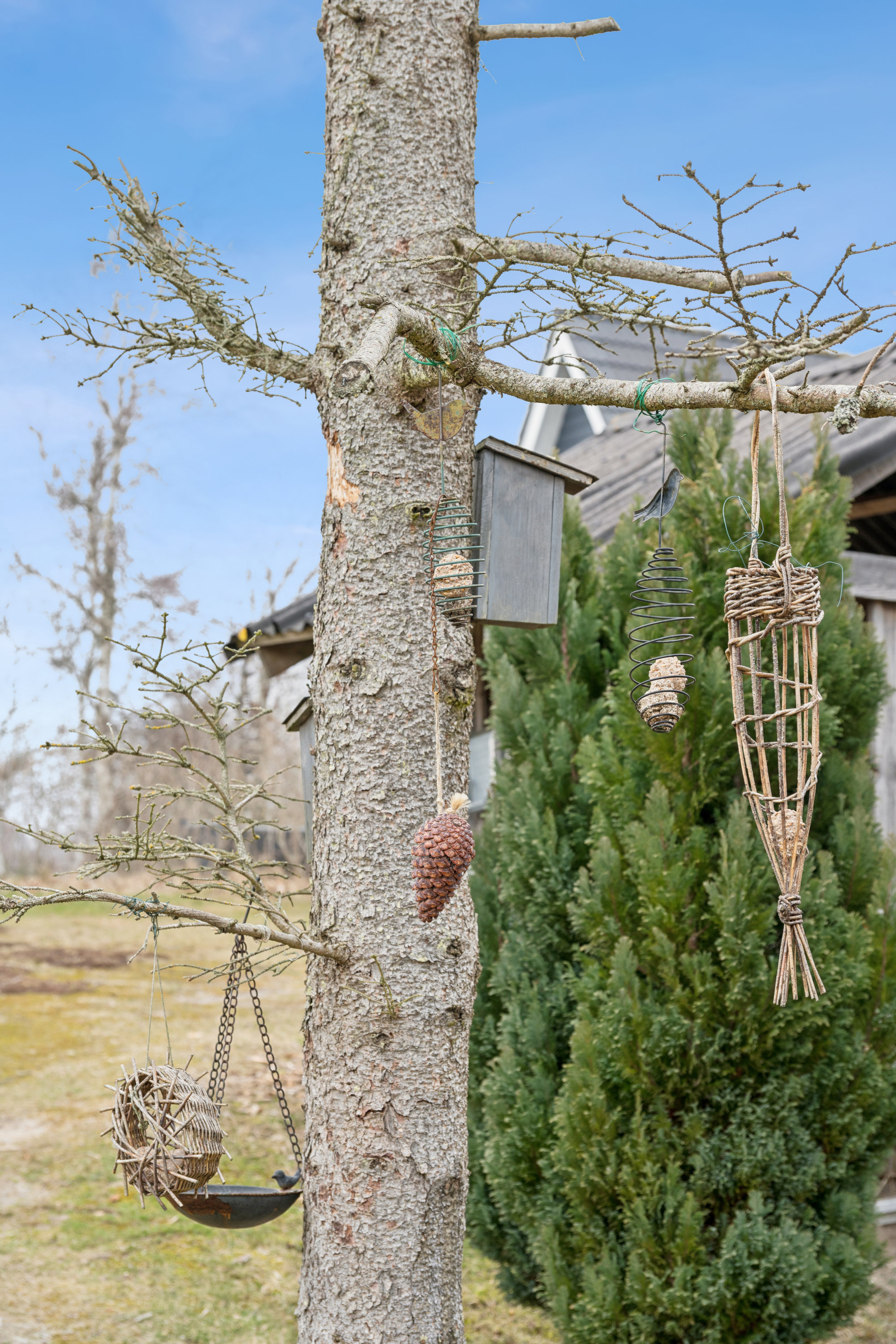 Fremhævet udsigt billede i fuldskærmstilstand. Billede af Lærkelundsvej 36, Øer, 8400 Ebeltoft
