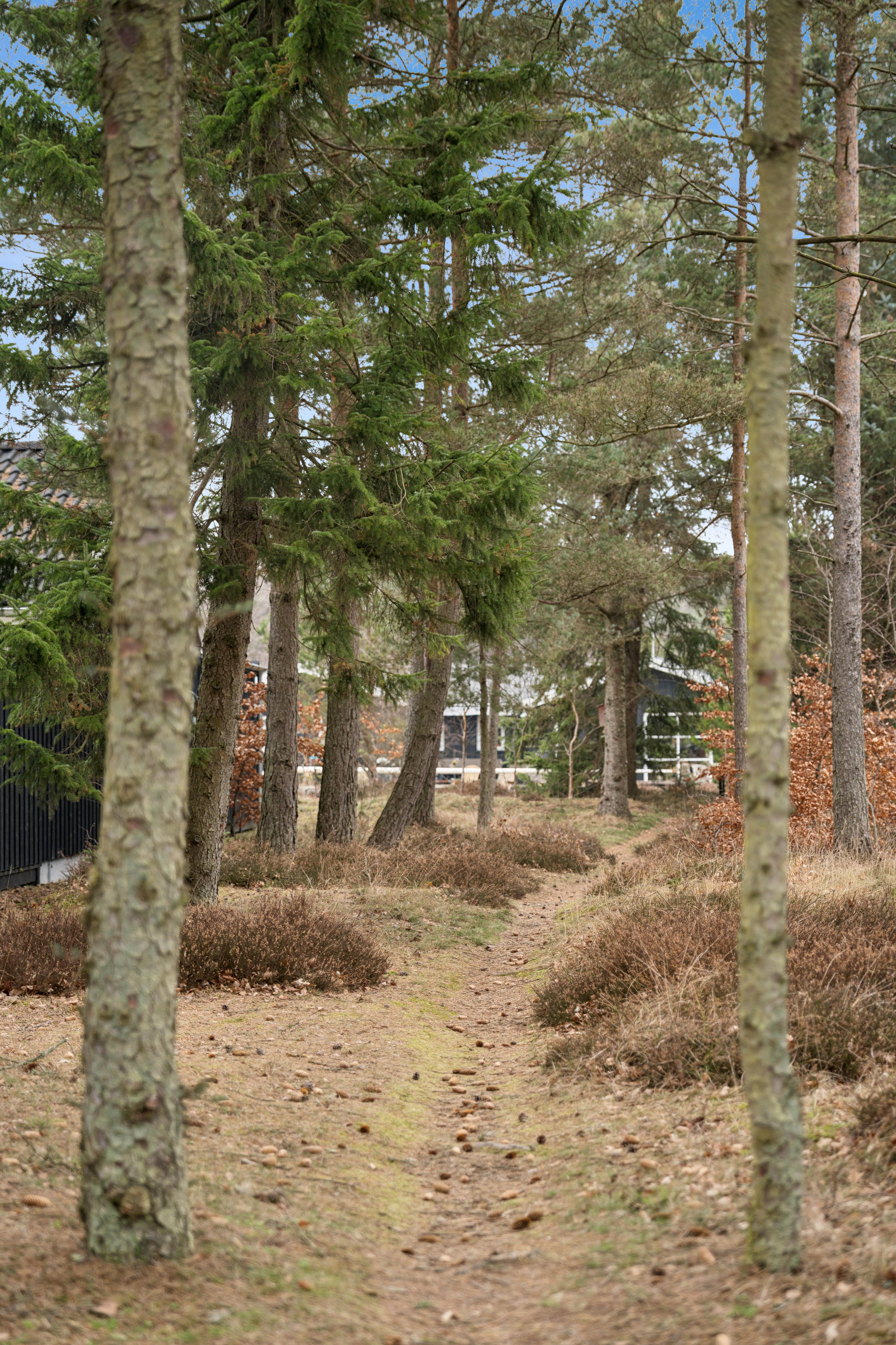 Fremhævet andet billede i fuldskærmstilstand. Billede af Lille Strandgaard 13B, 9370 Hals