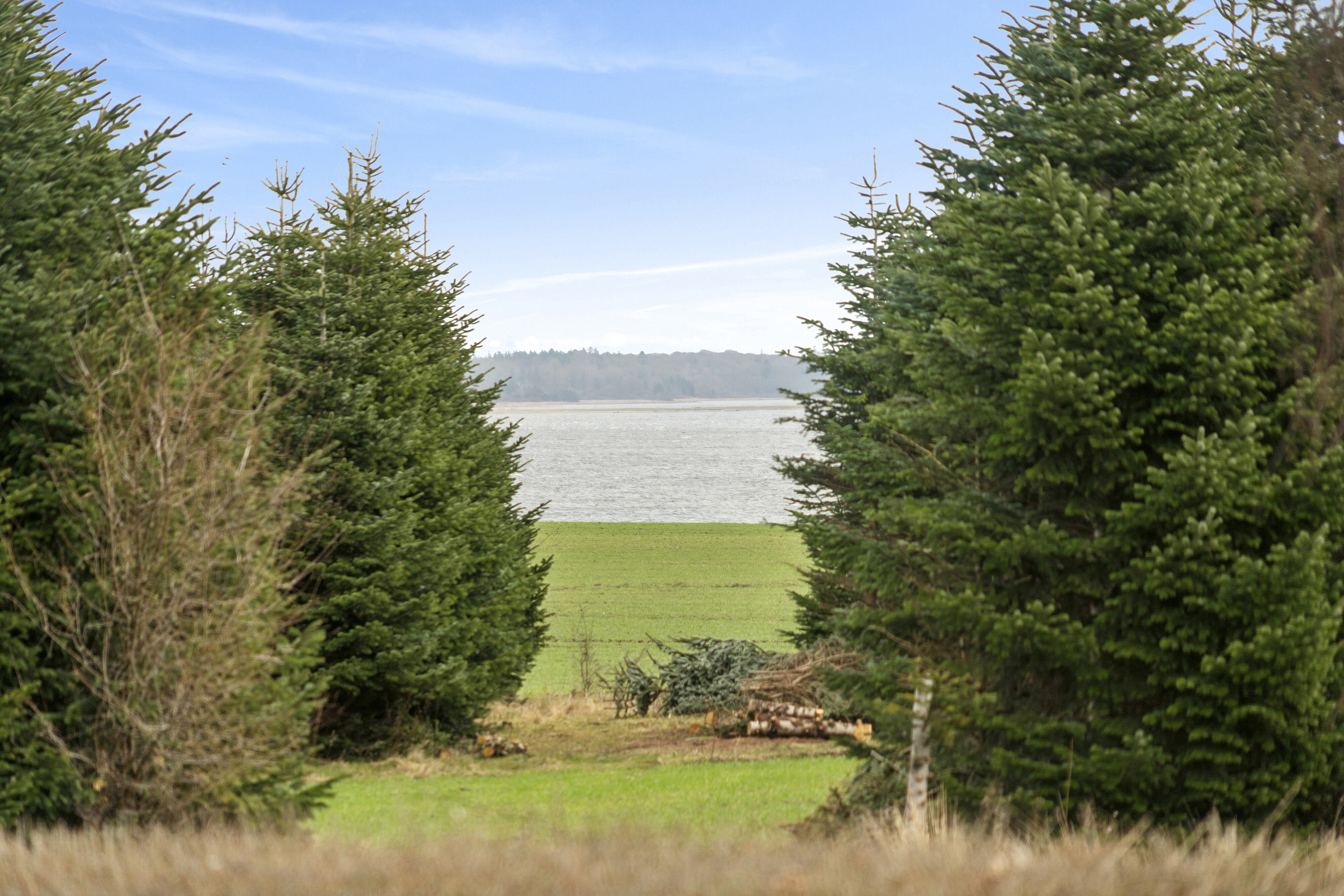 Fremhævet udsigt billede i fuldskærmstilstand. Billede af Fuglehavevej 7, Sæby, 4070 Kirke Hyllinge