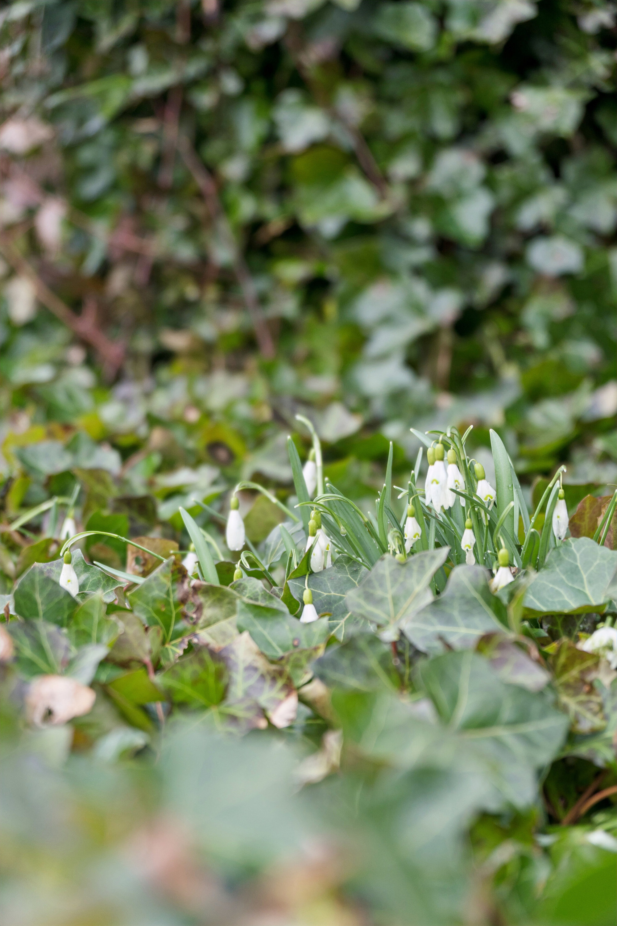 Fremhævet udendørs billede i fuldskærmstilstand. Billede af Mossøvej 5, 7200 Grindsted