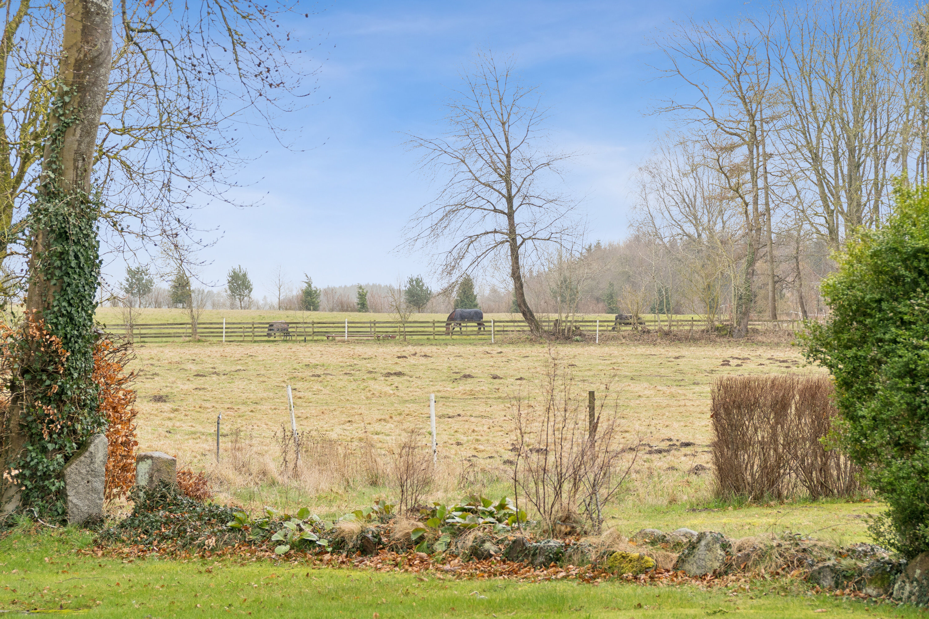 Fremhævet udendørs billede i fuldskærmstilstand. Billede af Vesterskovvej 1, Årslev Mark, 5792 Årslev