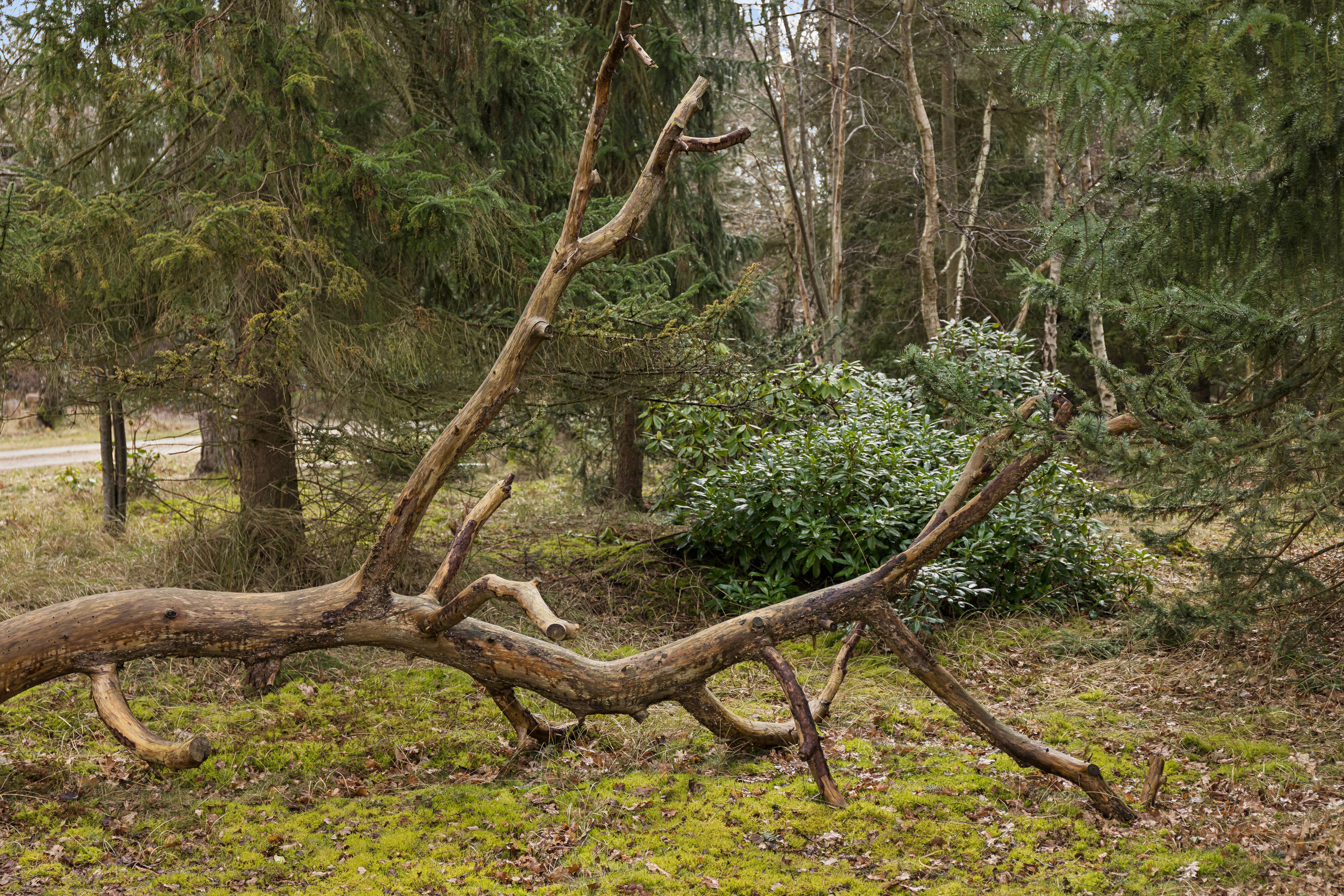 Fremhævet udendørs billede i fuldskærmstilstand. Billede af Kanalvej 3, Bjerge Sydstrand, 4480 Store Fuglede