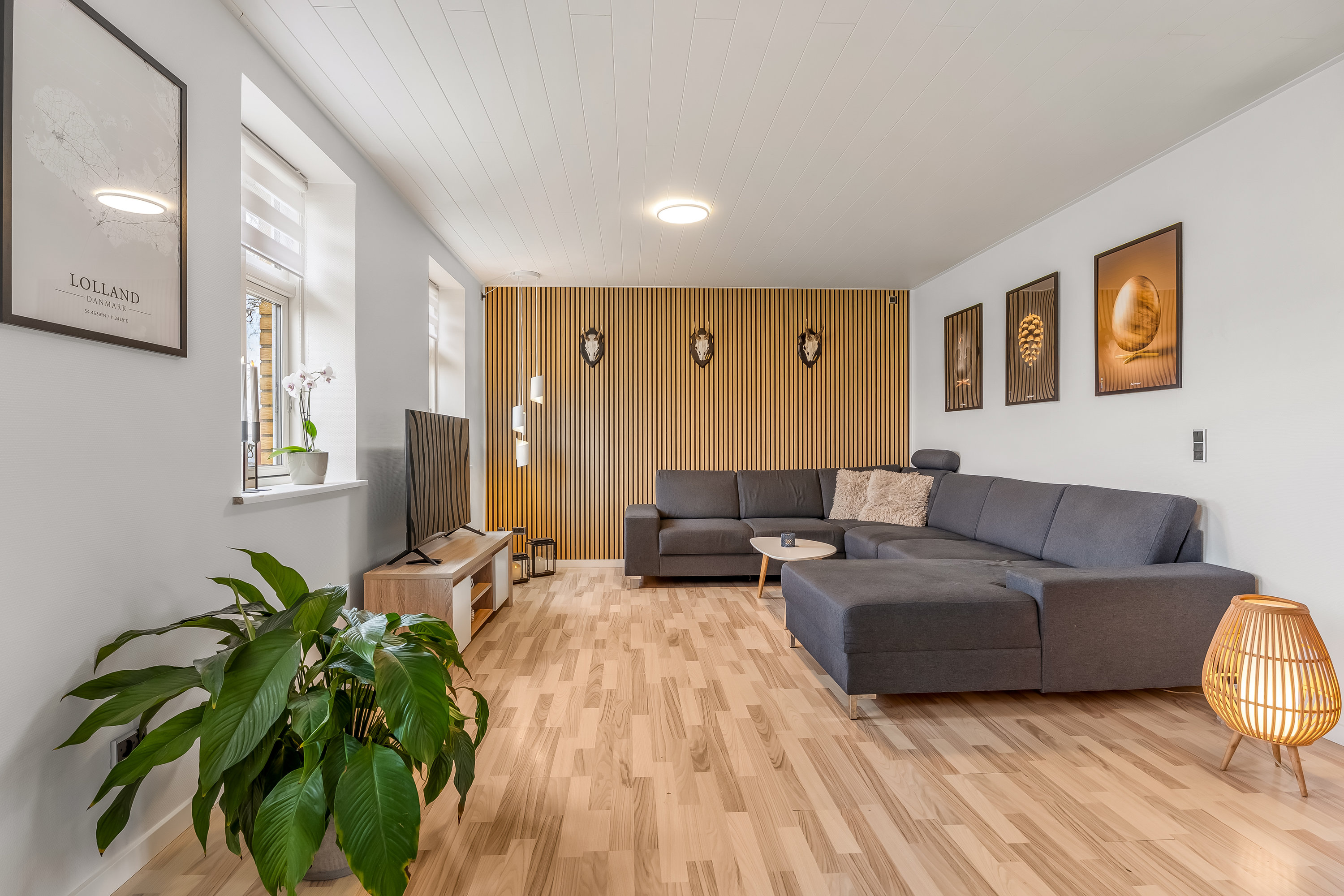 Fremhævet stue billede i fuldskærmstilstand. Billede af Lerbjergvej 4, 4941 Bandholm