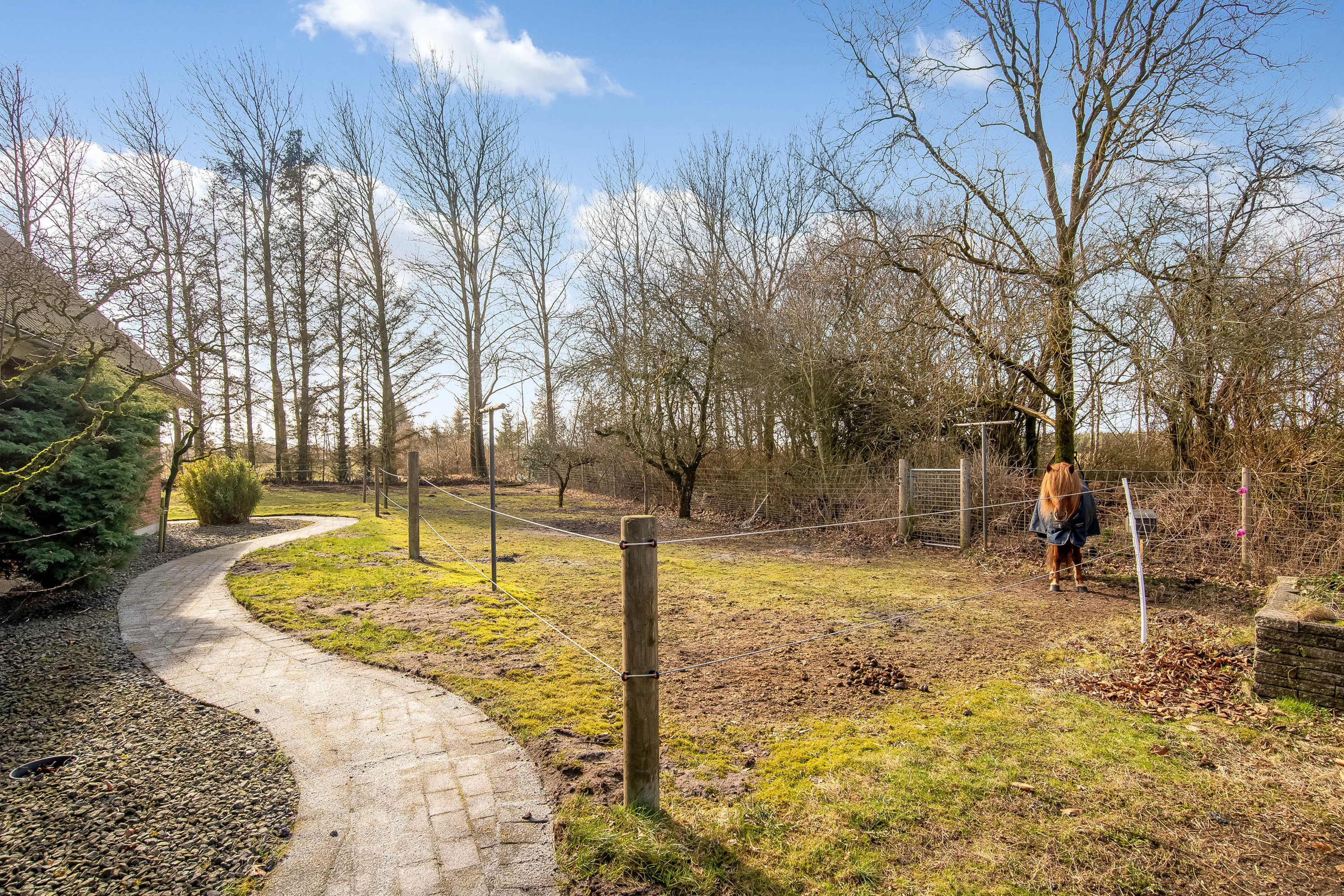 Fremhævet hestefold billede i fuldskærmstilstand. Billede af Stenumvej 3, Råsted, 7570 Vemb