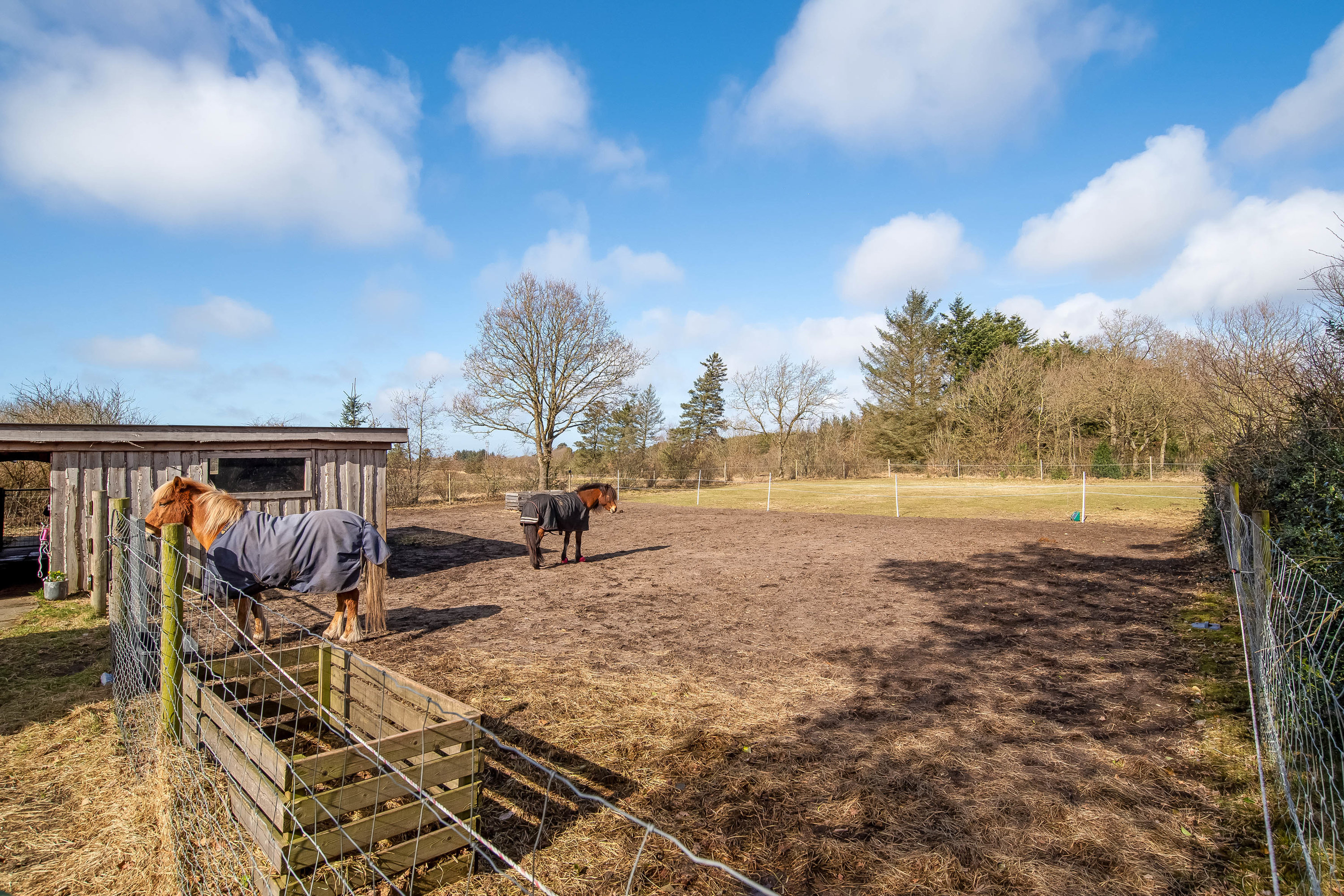 Fremhævet hestefold billede i fuldskærmstilstand. Billede af Stenumvej 3, Råsted, 7570 Vemb