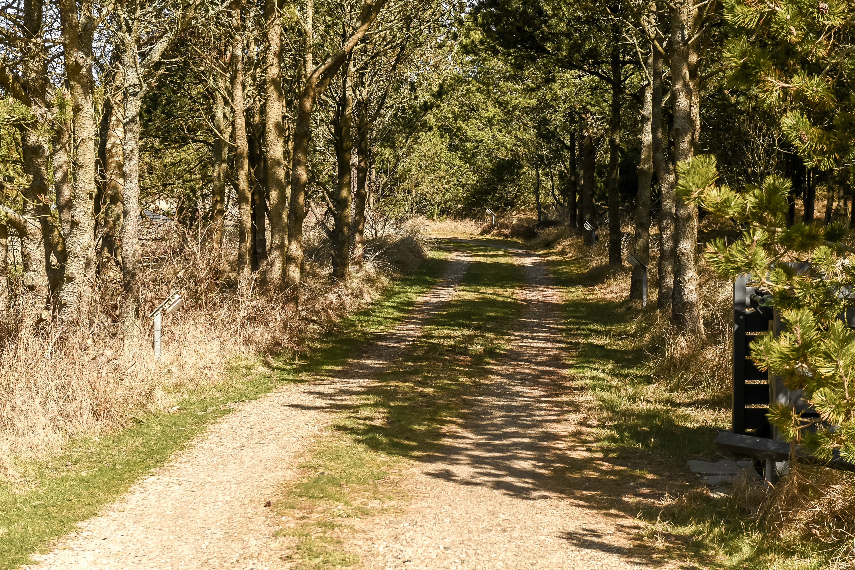 Hedetoftvej 19, 6857 Blåvand