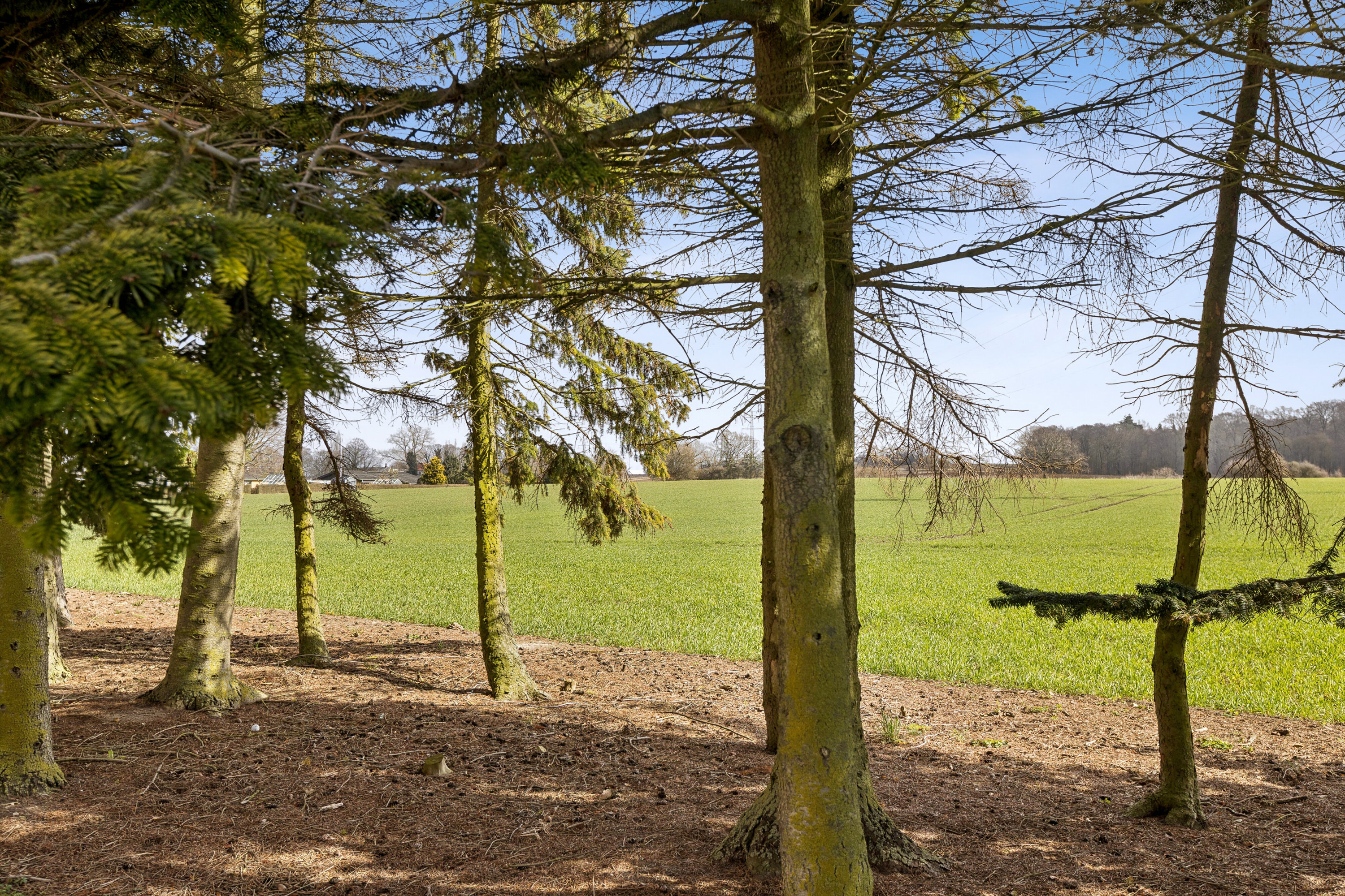 Fremhævet udendørs billede i fuldskærmstilstand. Billede af Nygårdshave 1, 4760 Vordingborg
