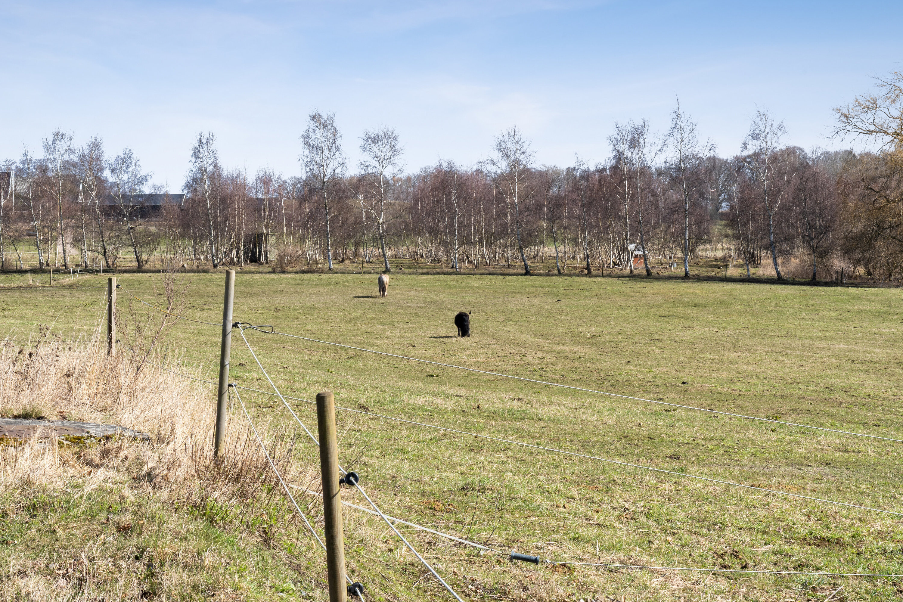 Fremhævet udendørs billede i fuldskærmstilstand. Billede af Skolelodden 28, 3220 Tisvildeleje