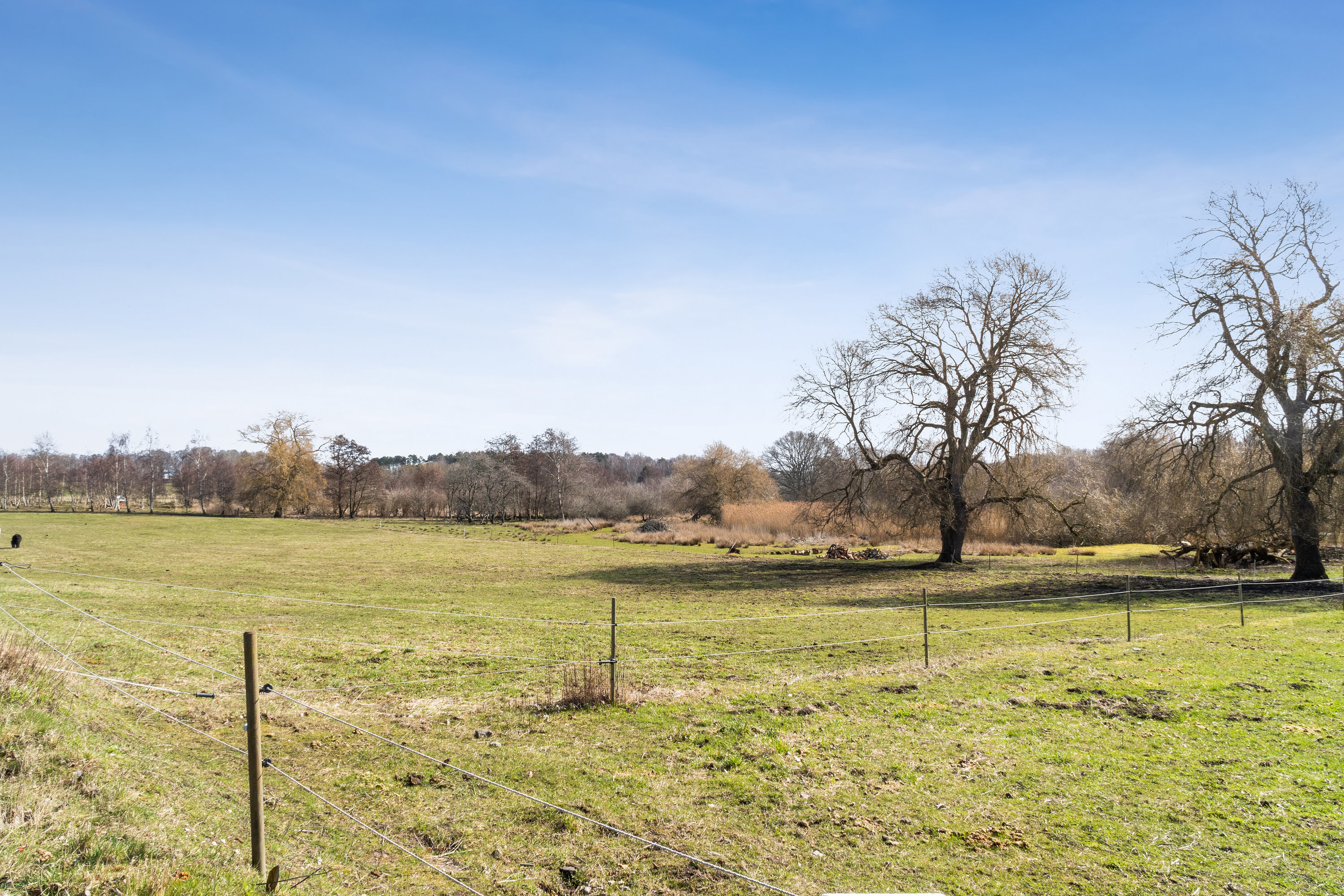 Fremhævet udendørs billede i fuldskærmstilstand. Billede af Skolelodden 28, 3220 Tisvildeleje